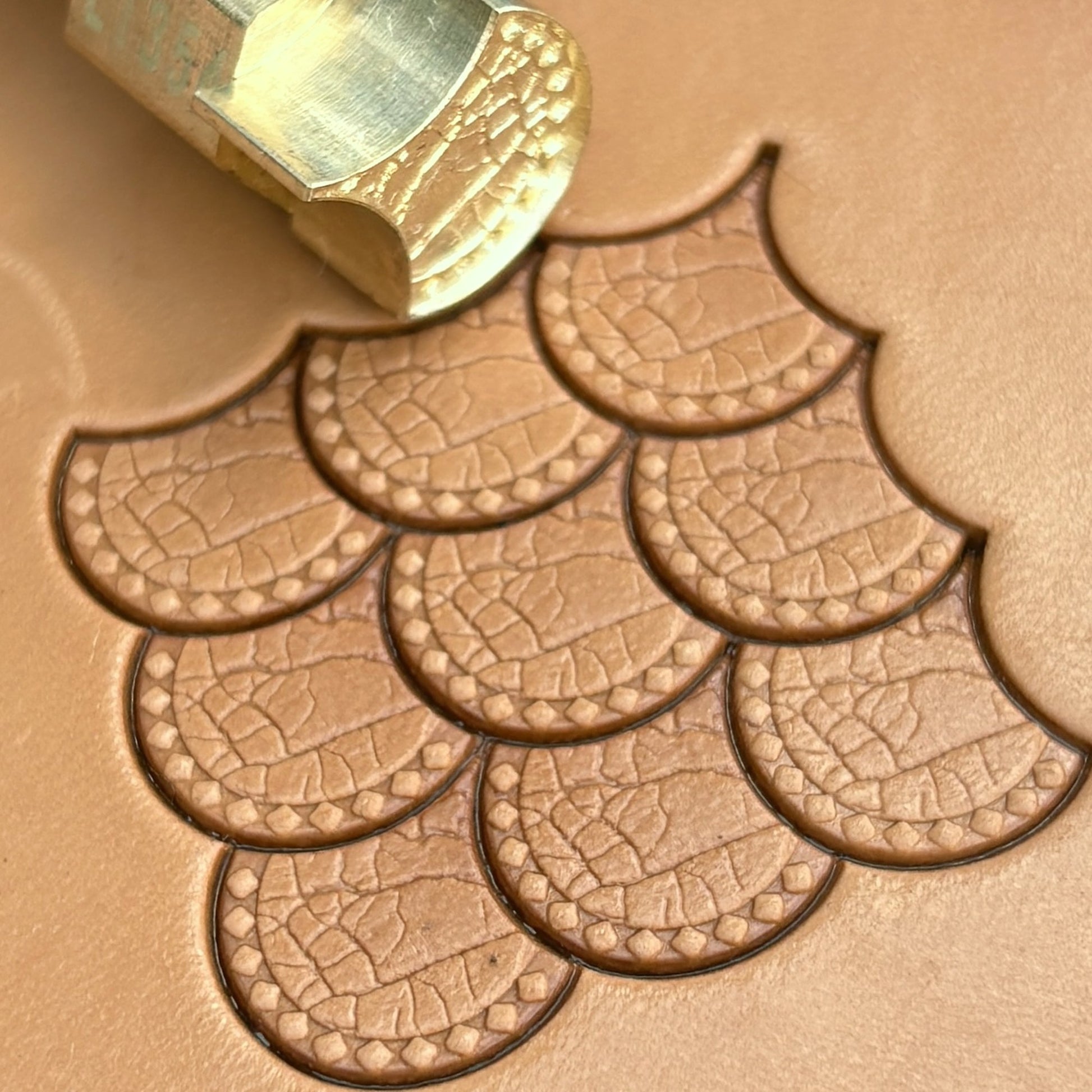 Scallop Scales leather stamp LT354 — brass stamping tool with imprint on natural veg-tan leather
