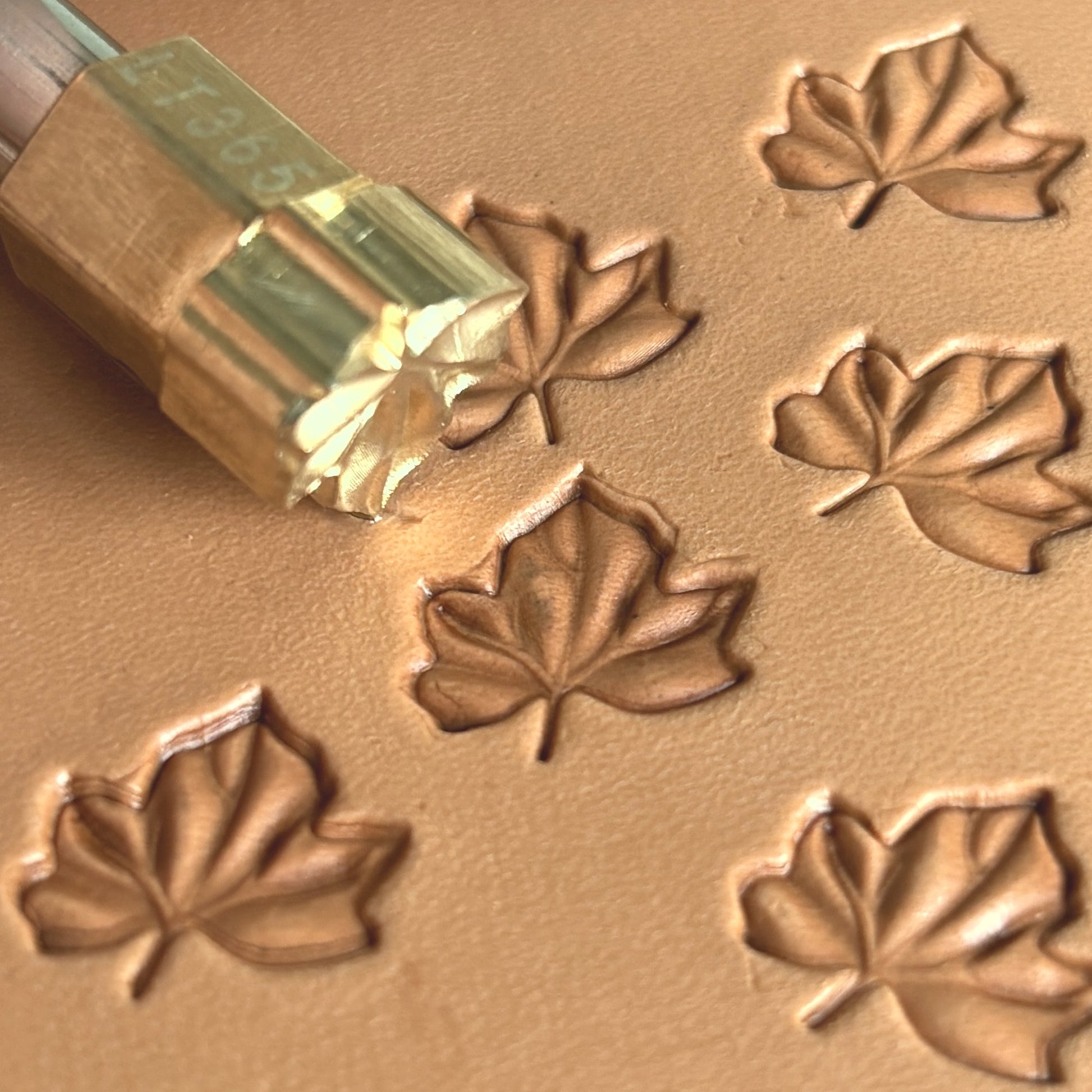 Leaf leather stamp LT365 — brass stamping tool with imprint on natural veg-tan leather
