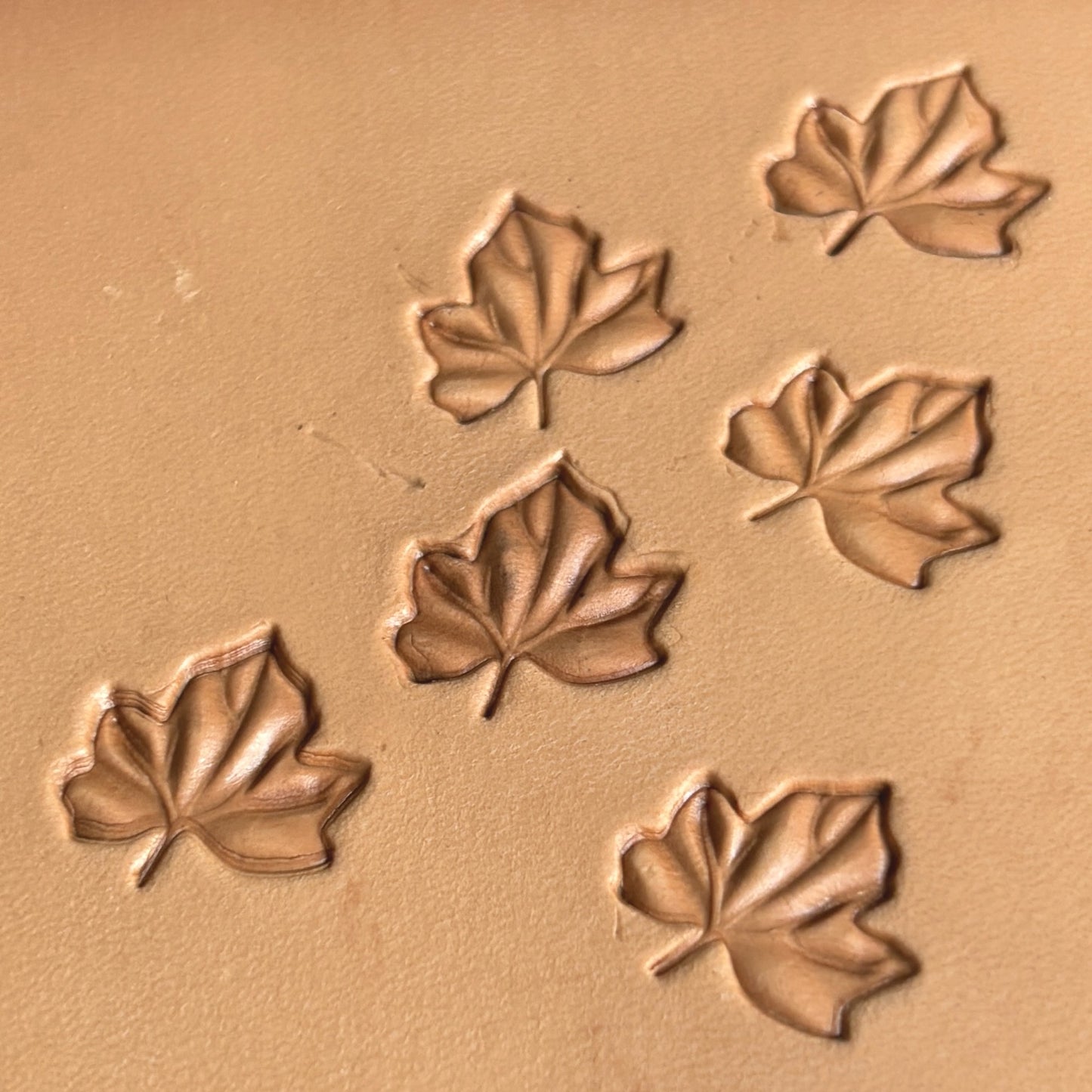 Leaf leather stamp LT365 — single impression on veg-tan leather