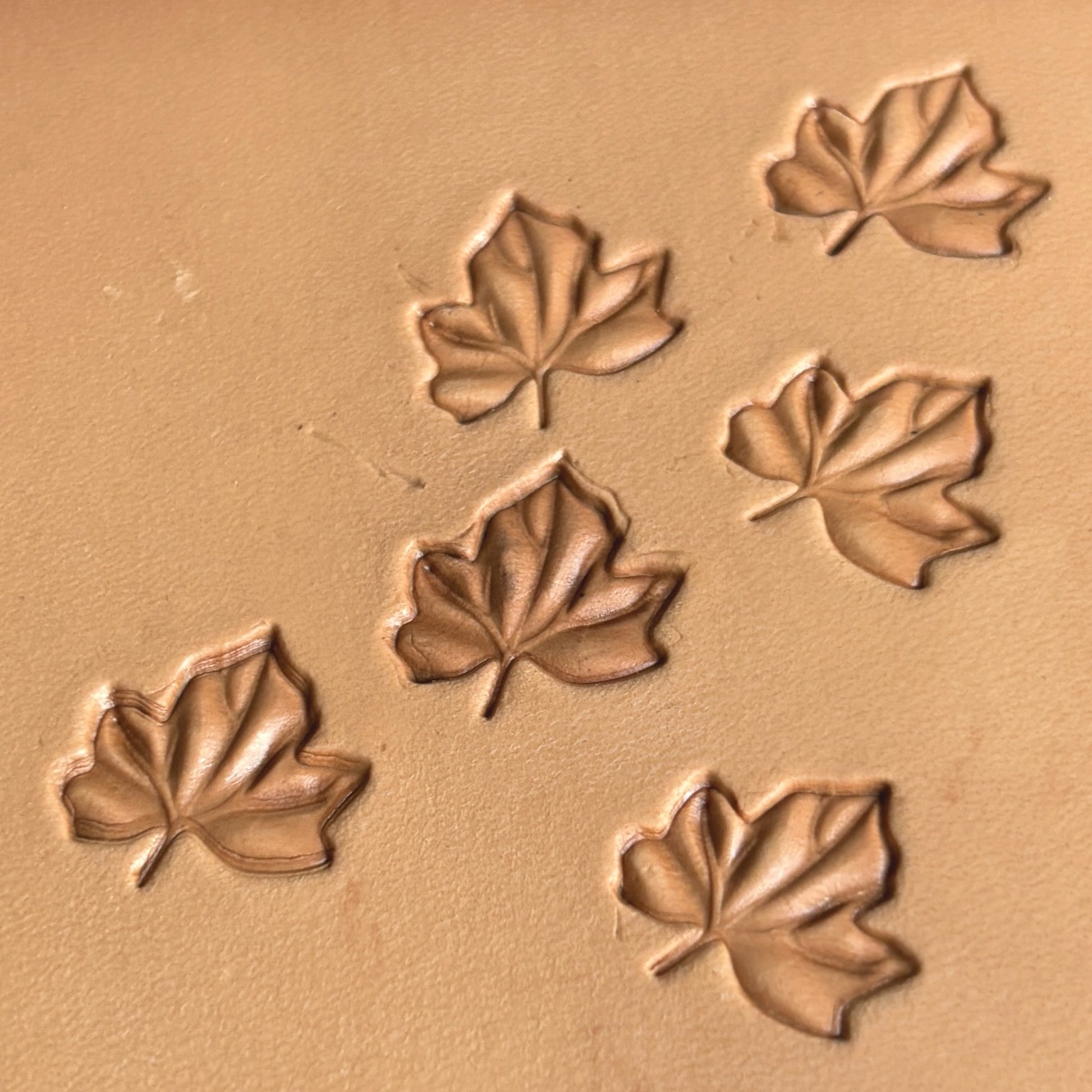 Leaf leather stamp LT365 — single impression on veg-tan leather