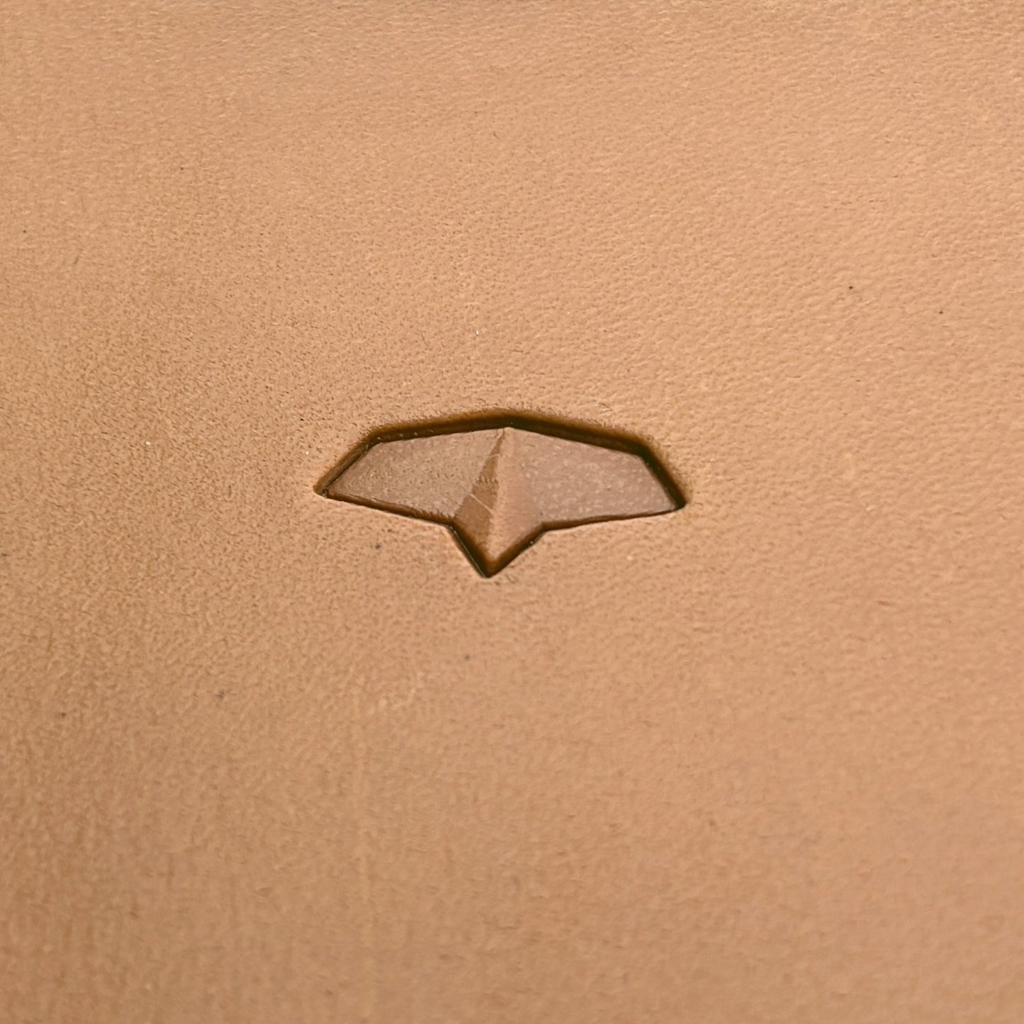 Scaled Texture leather stamp LT367 — single impression on veg-tan leather