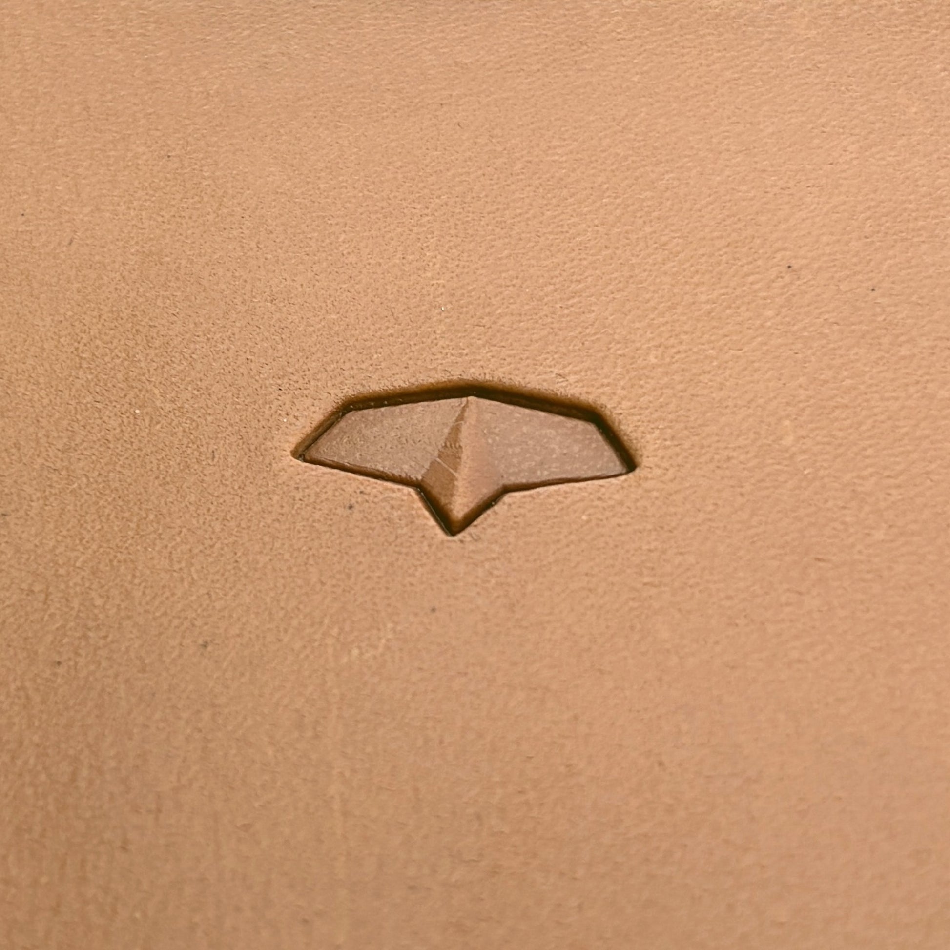 Scaled Texture leather stamp LT367 — single impression on veg-tan leather