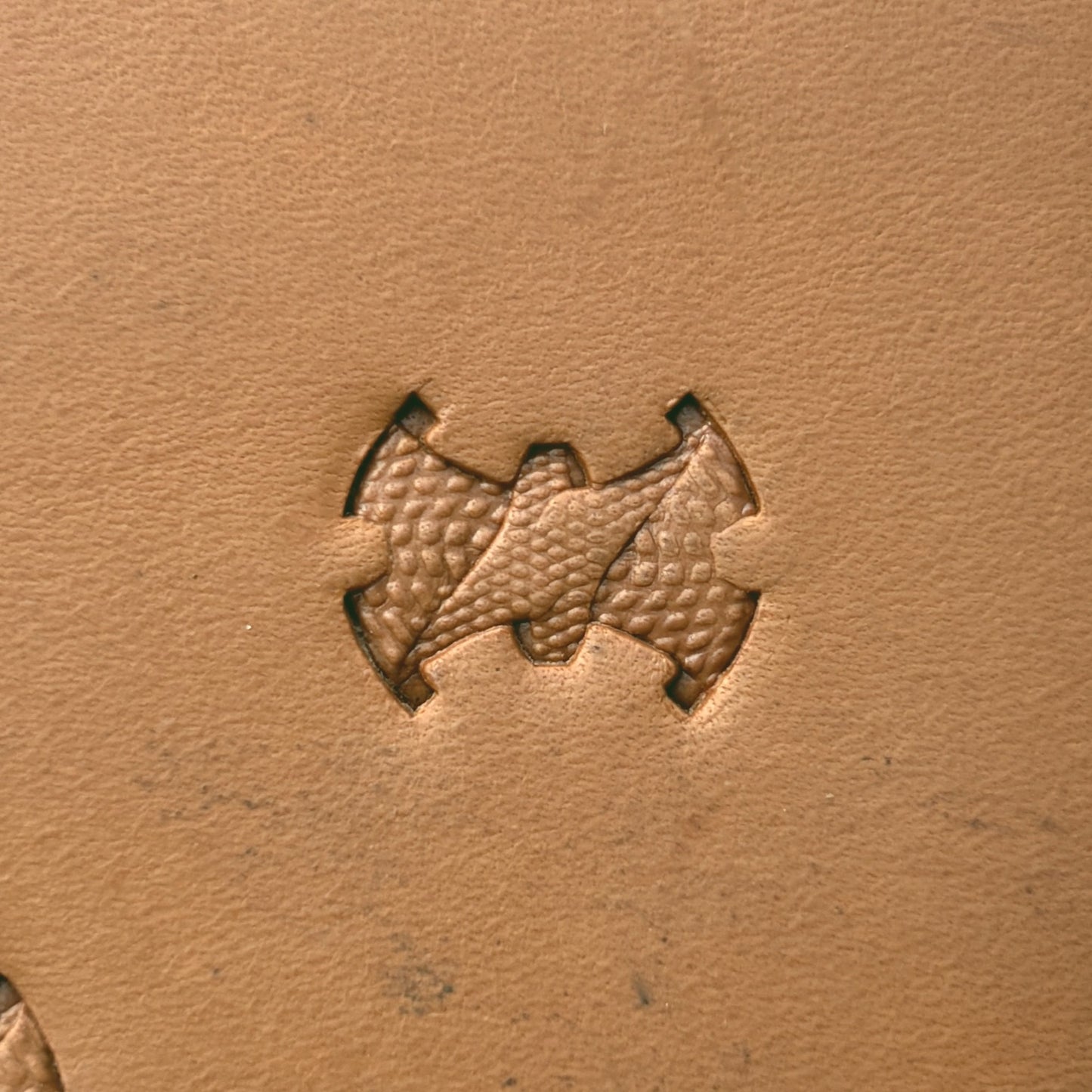 Rough Scales leather stamp LT372 — single impression on veg-tan leather