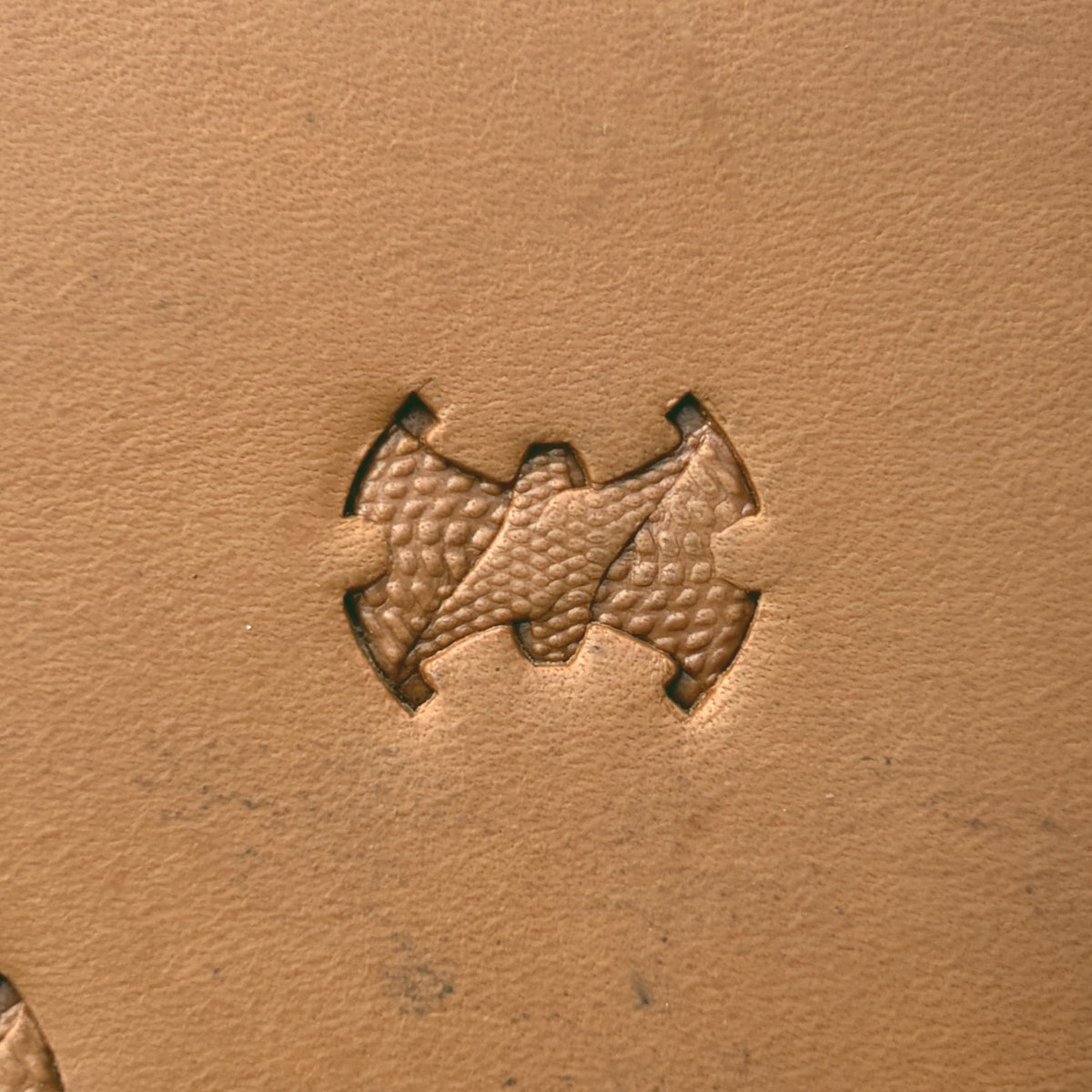 Rough Scales leather stamp LT372 — single impression on veg-tan leather