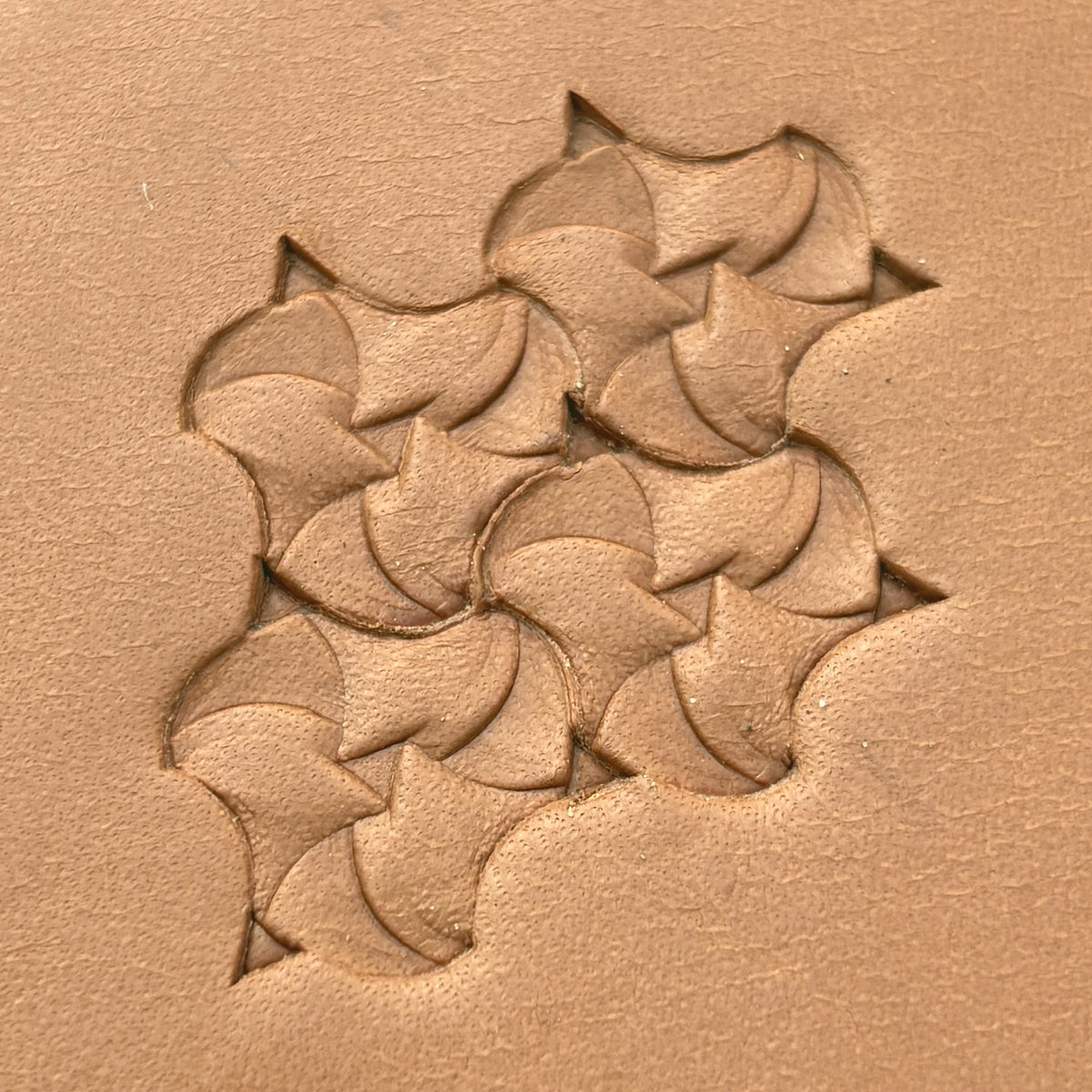 Scale Fish leather stamp LT373 — pattern imprint on veg-tan leather
