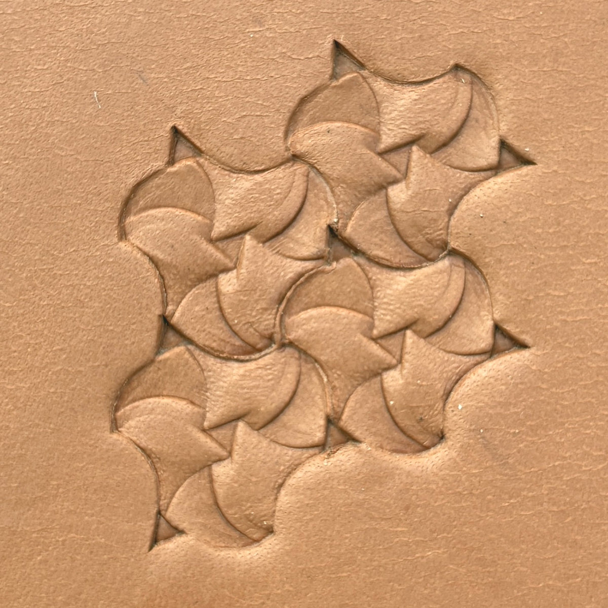 Scale Fish leather stamp LT373 — pattern imprint on veg-tan leather