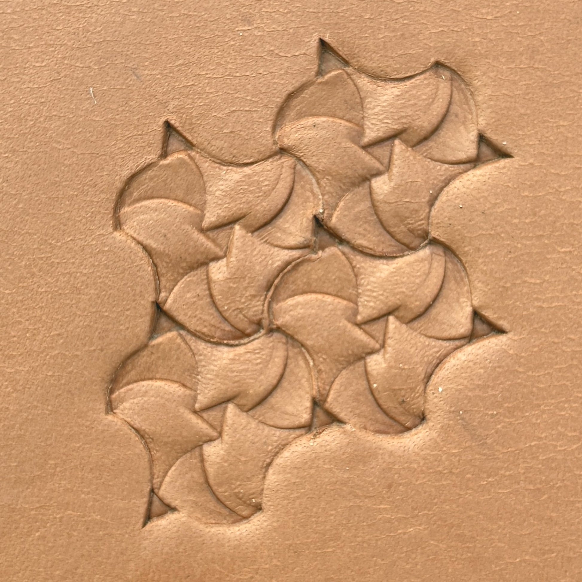 Scale Fish leather stamp LT373 — pattern imprint on veg-tan leather