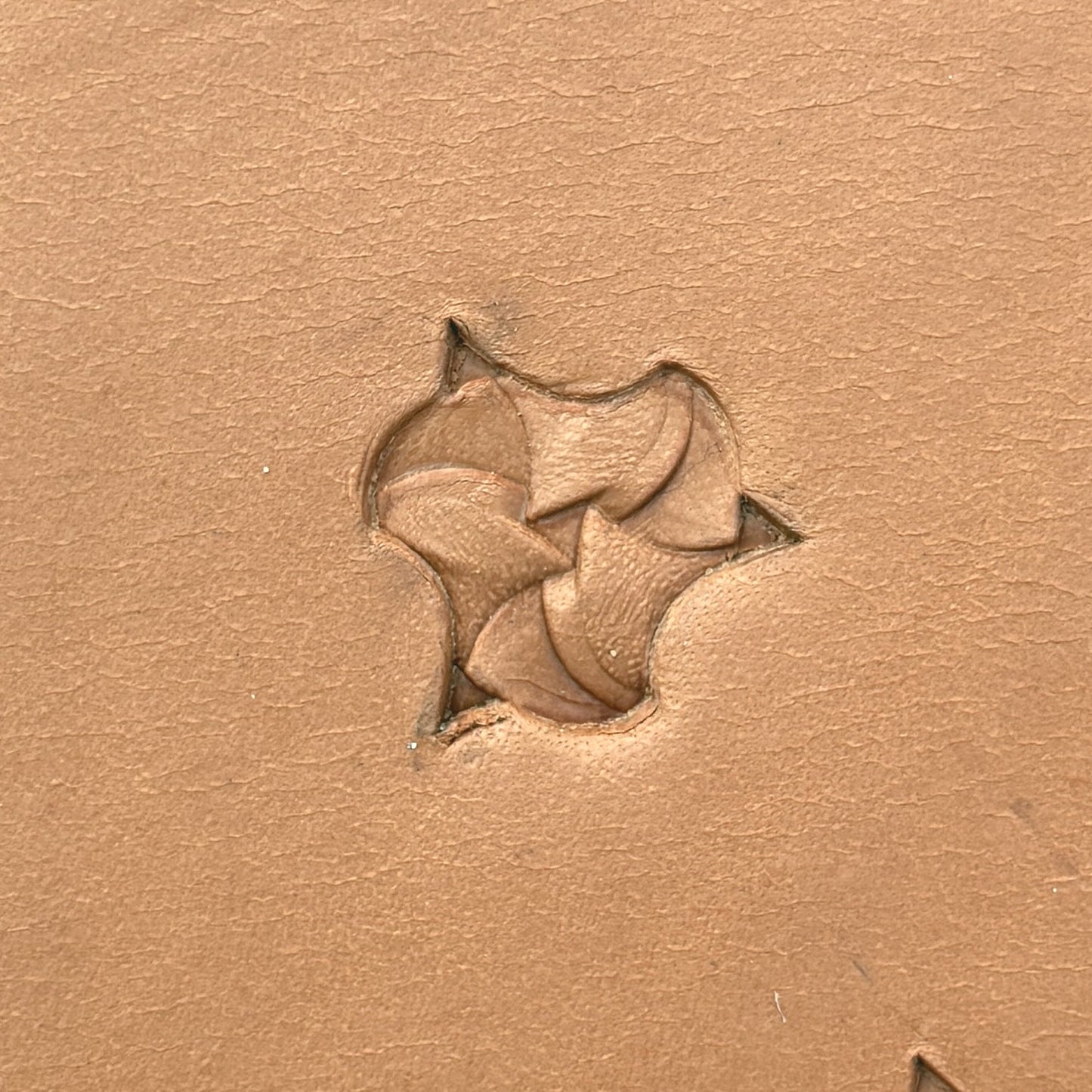 Scale Fish leather stamp LT373 — single impression on veg-tan leather
