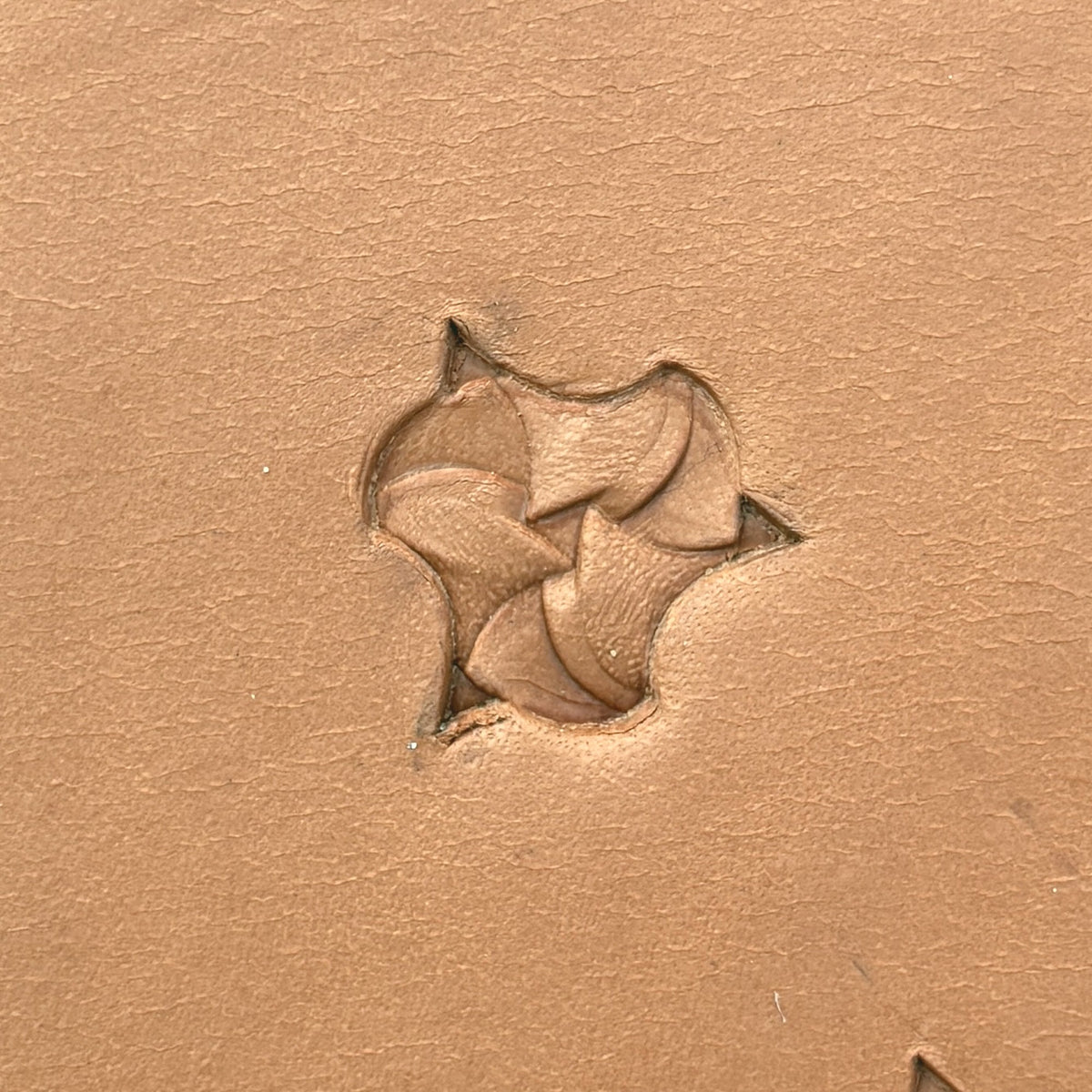 Scale Fish leather stamp LT373 — single impression on veg-tan leather