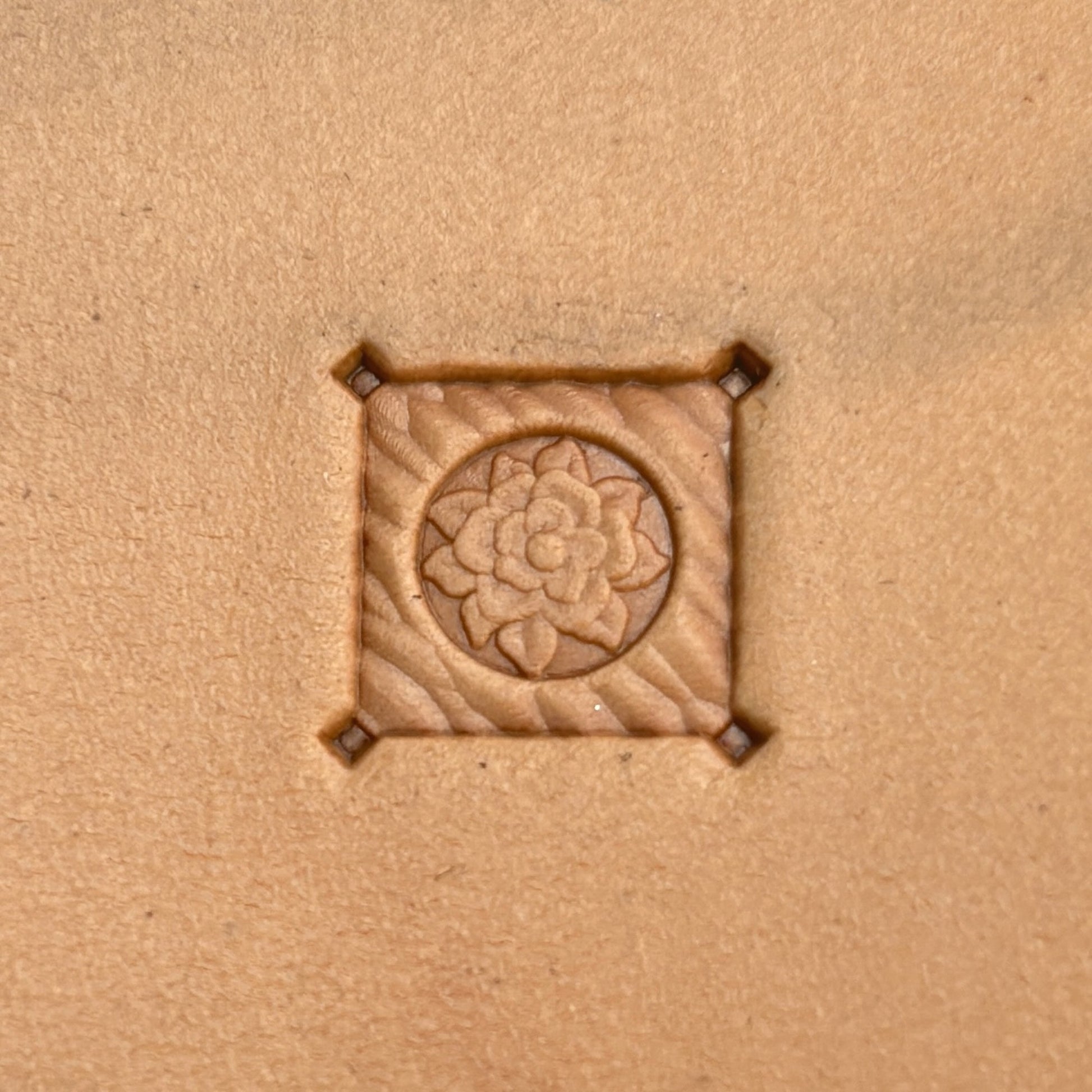 Floral Motif leather stamp LT379 — single impression on veg-tan leather