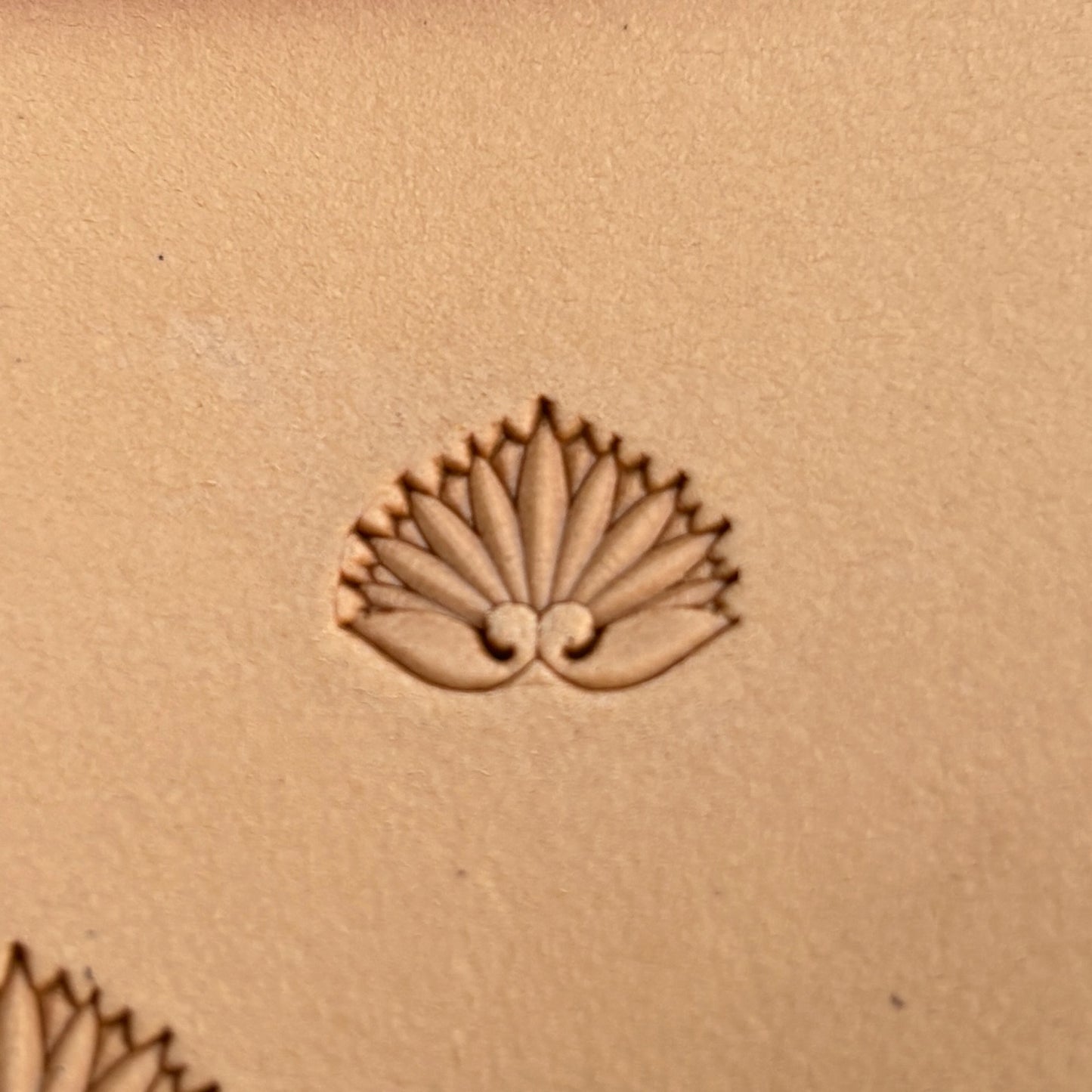 Fan Border leather stamp LT391 — single impression on veg-tan leather