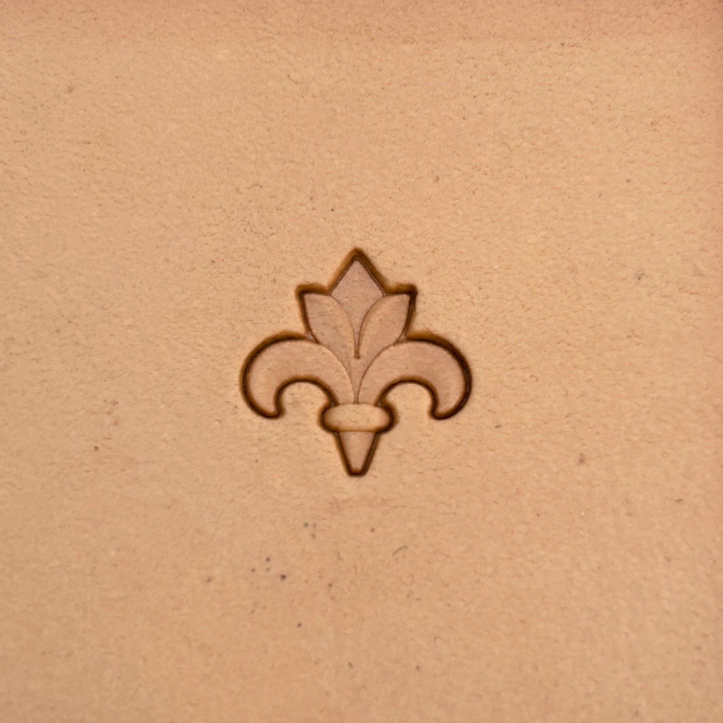 Fleur Design leather stamp LT396 — single impression on veg-tan leather