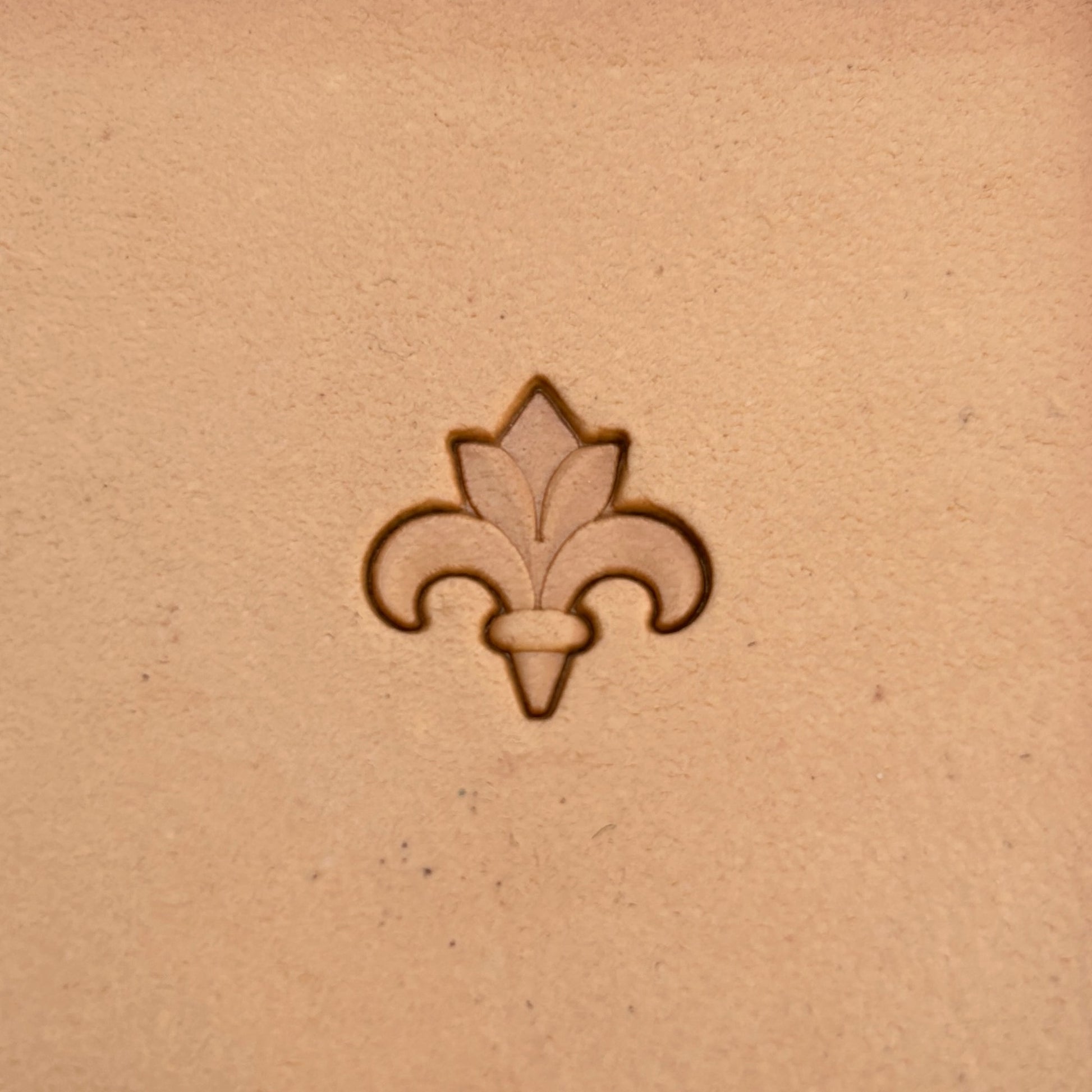 Fleur Design leather stamp LT396 — single impression on veg-tan leather
