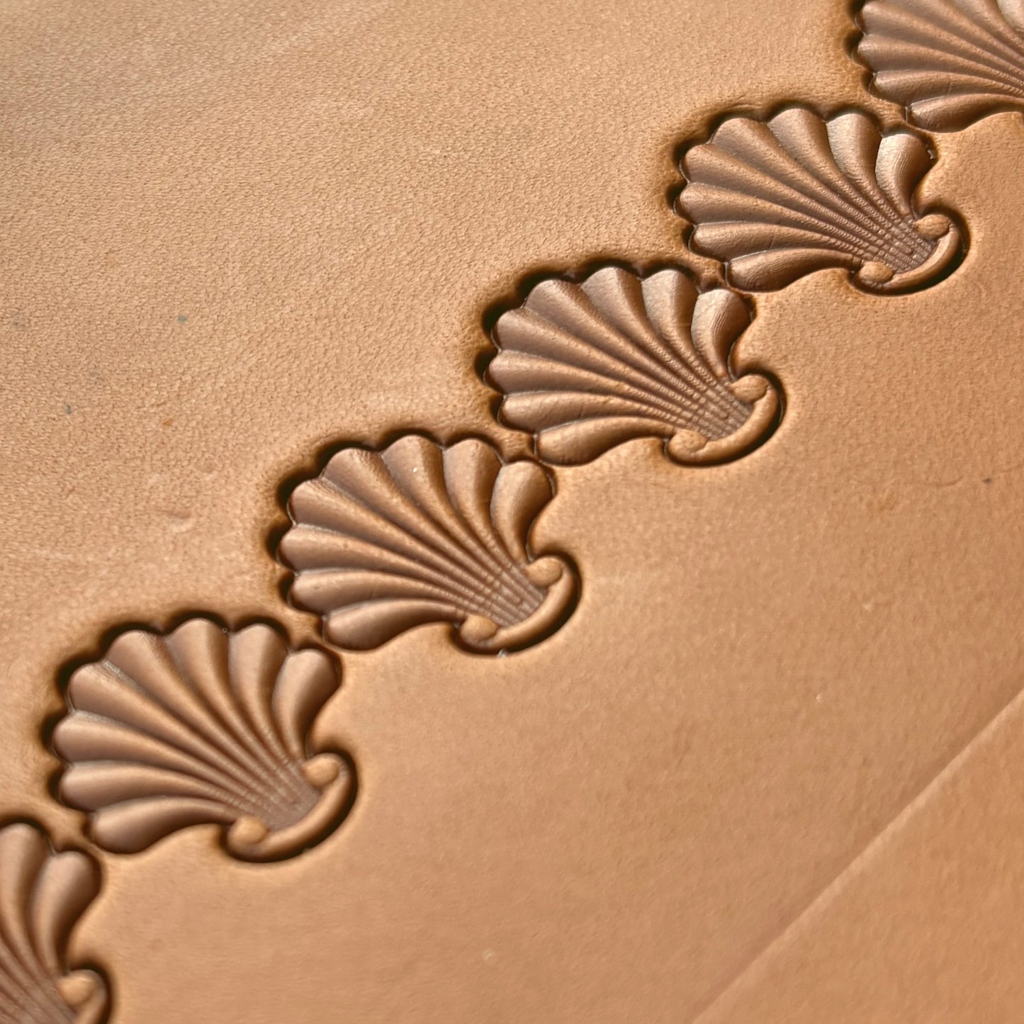 Shell Border leather stamp LT398 — pattern imprint on veg-tan leather