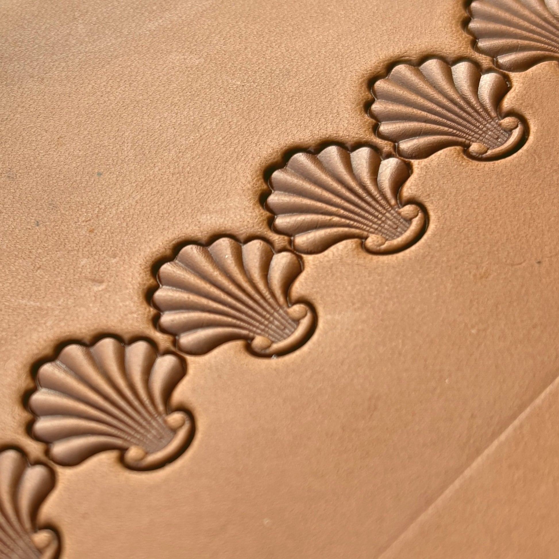 Shell Border leather stamp LT398 — pattern imprint on veg-tan leather