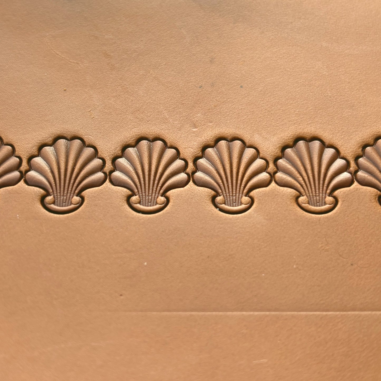 Shell Border leather stamp LT398 — pattern imprint on veg-tan leather