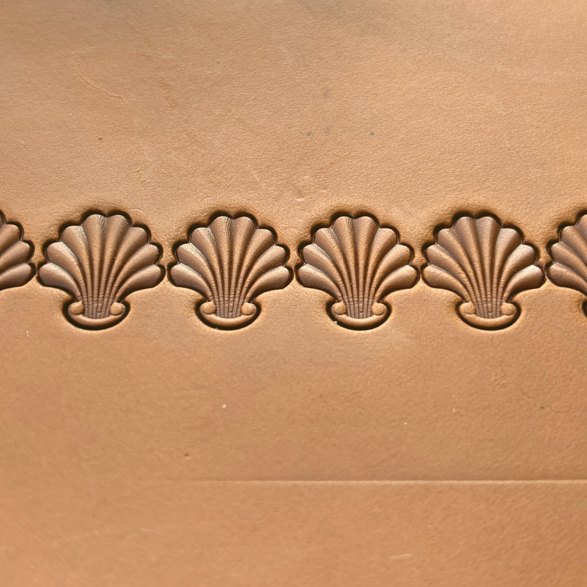Shell Border leather stamp LT398 — pattern imprint on veg-tan leather