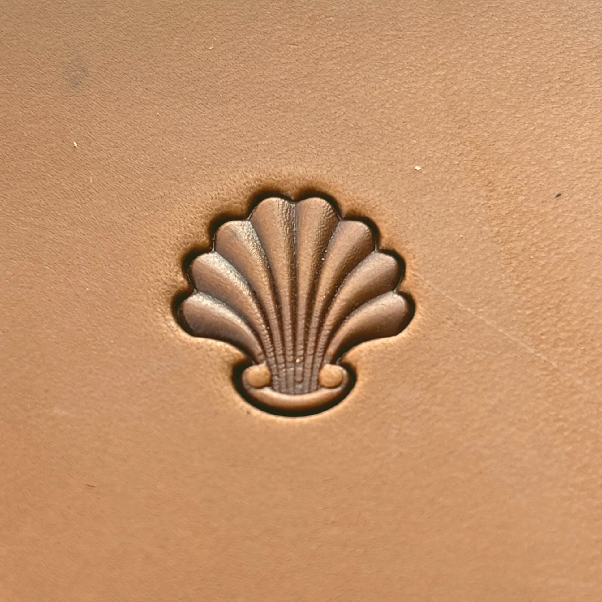 Shell Border leather stamp LT398 — single impression on veg-tan leather