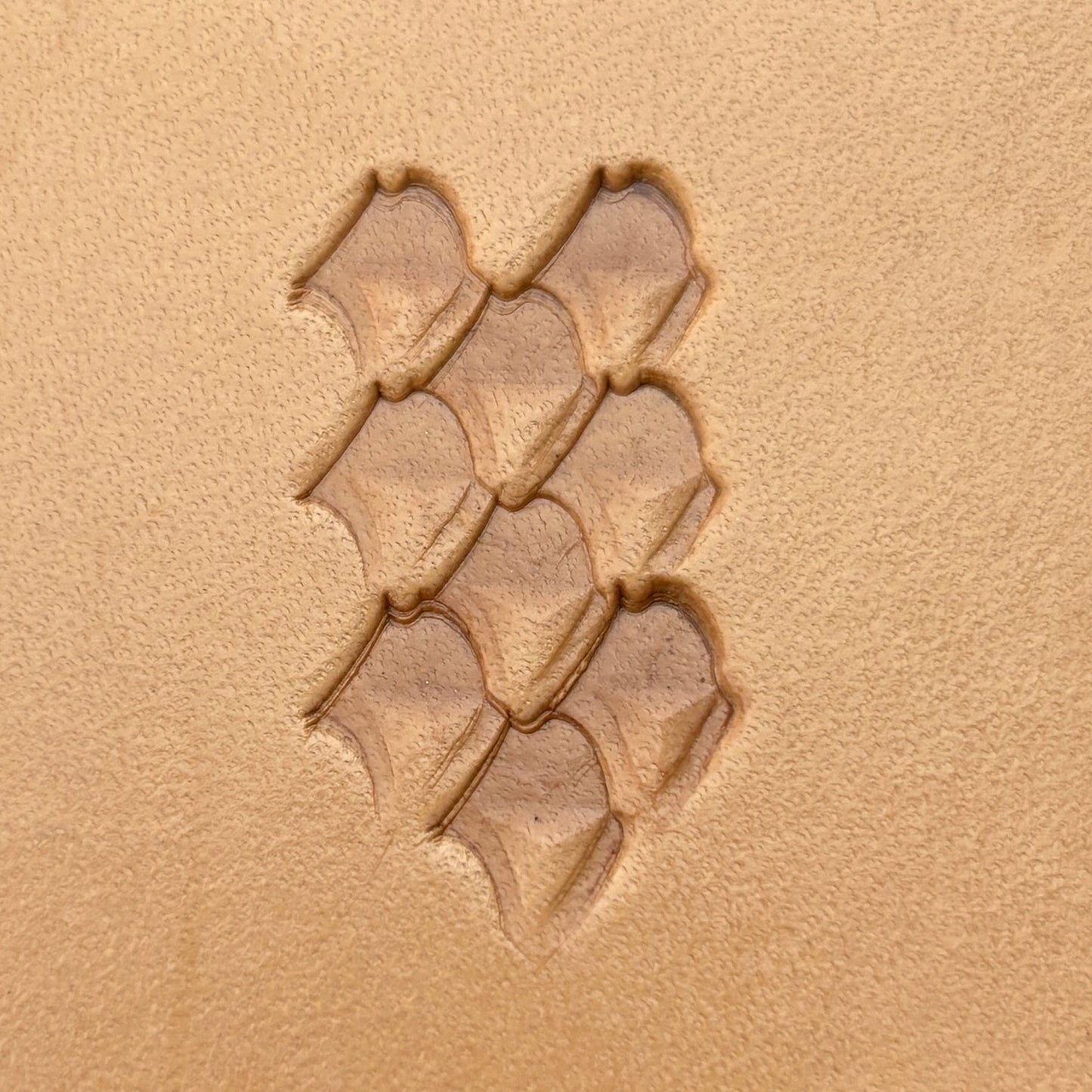 Fan Scallop leather stamp LT407 — pattern imprint on veg-tan leather