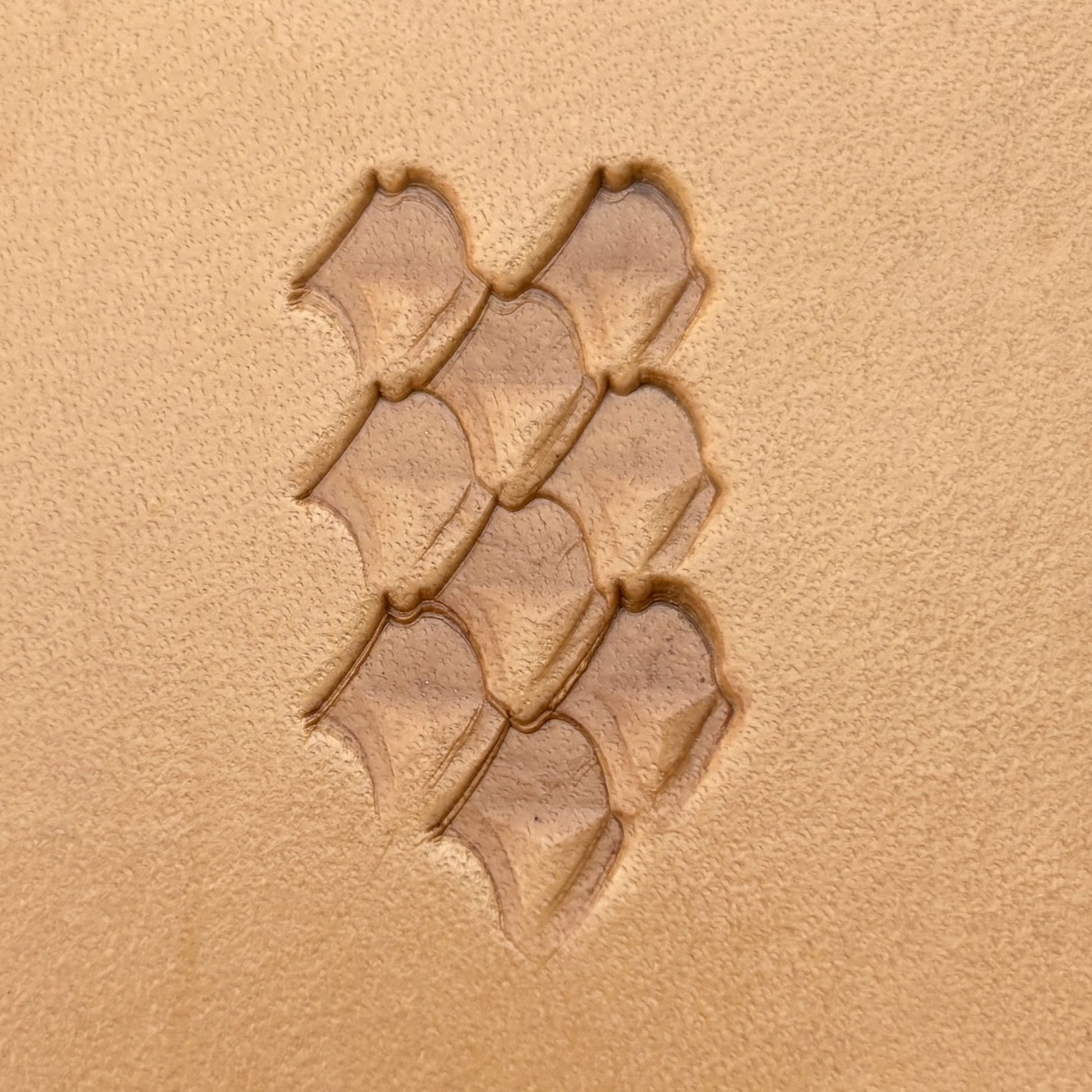 Fan Scallop leather stamp LT407 — pattern imprint on veg-tan leather