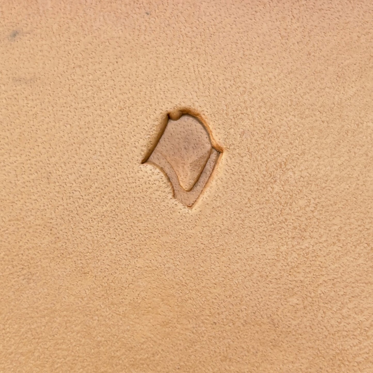 Fan Scallop leather stamp LT407 — single impression on veg-tan leather