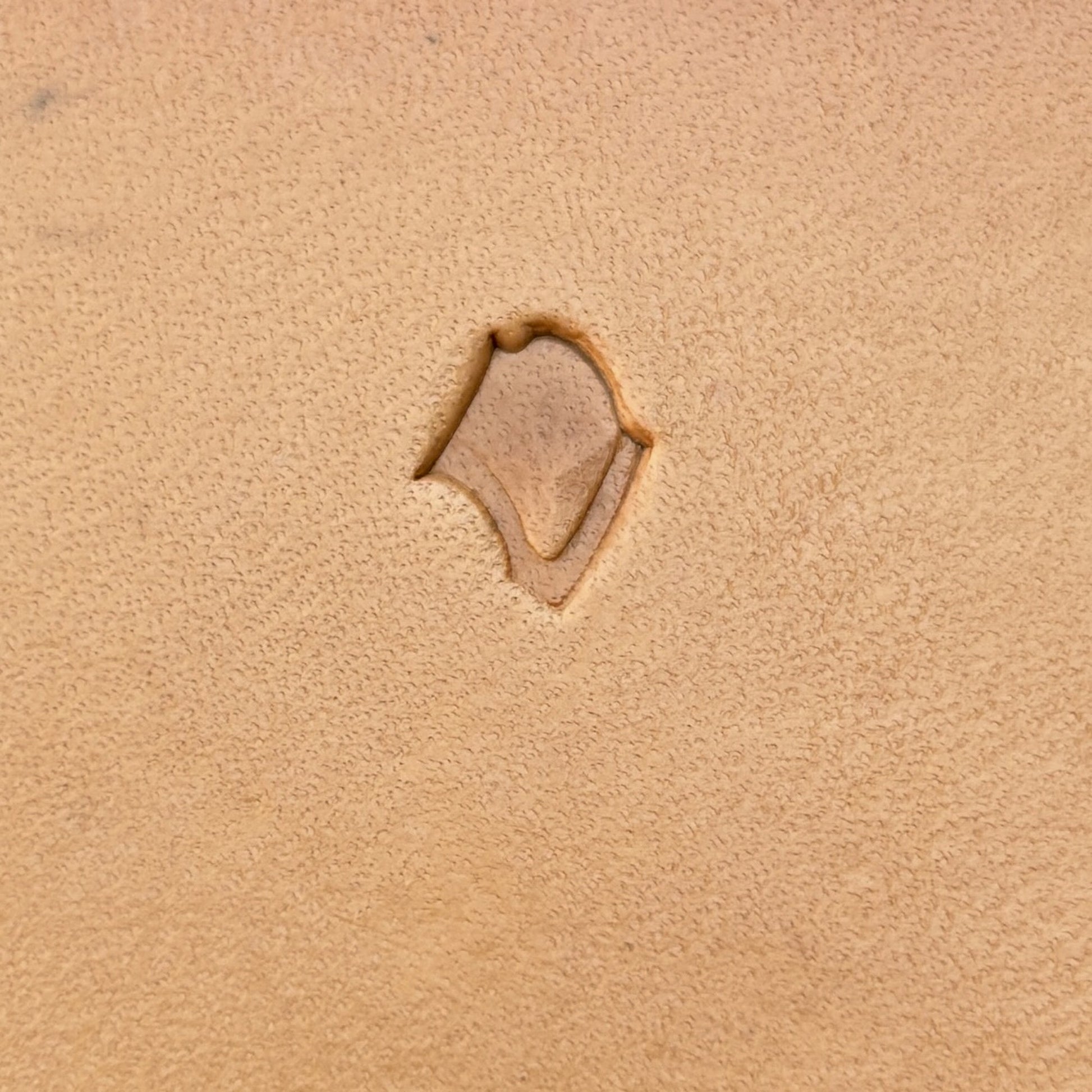 Fan Scallop leather stamp LT407 — single impression on veg-tan leather