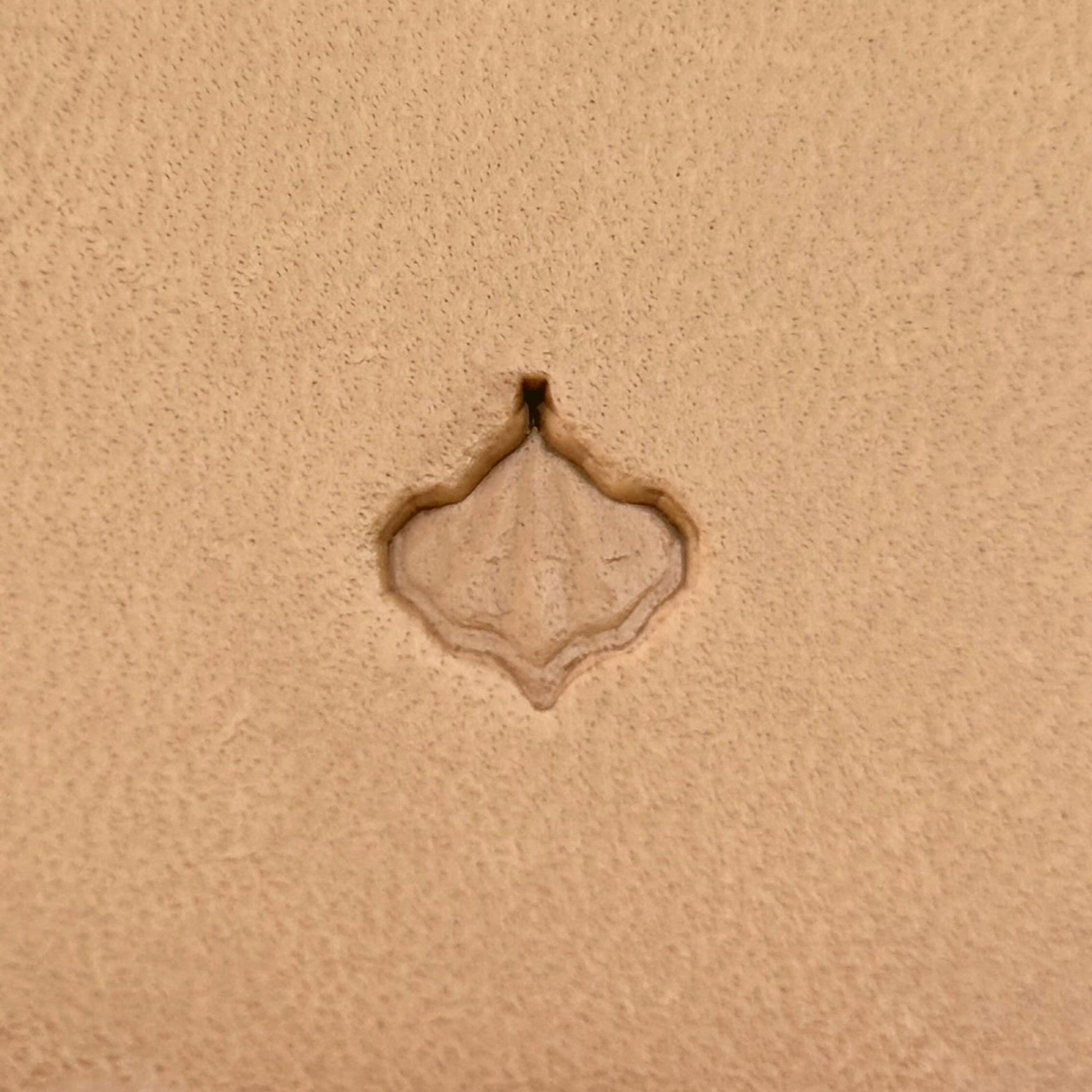 Cluster Leaf leather stamp LT409 — single impression on veg-tan leather