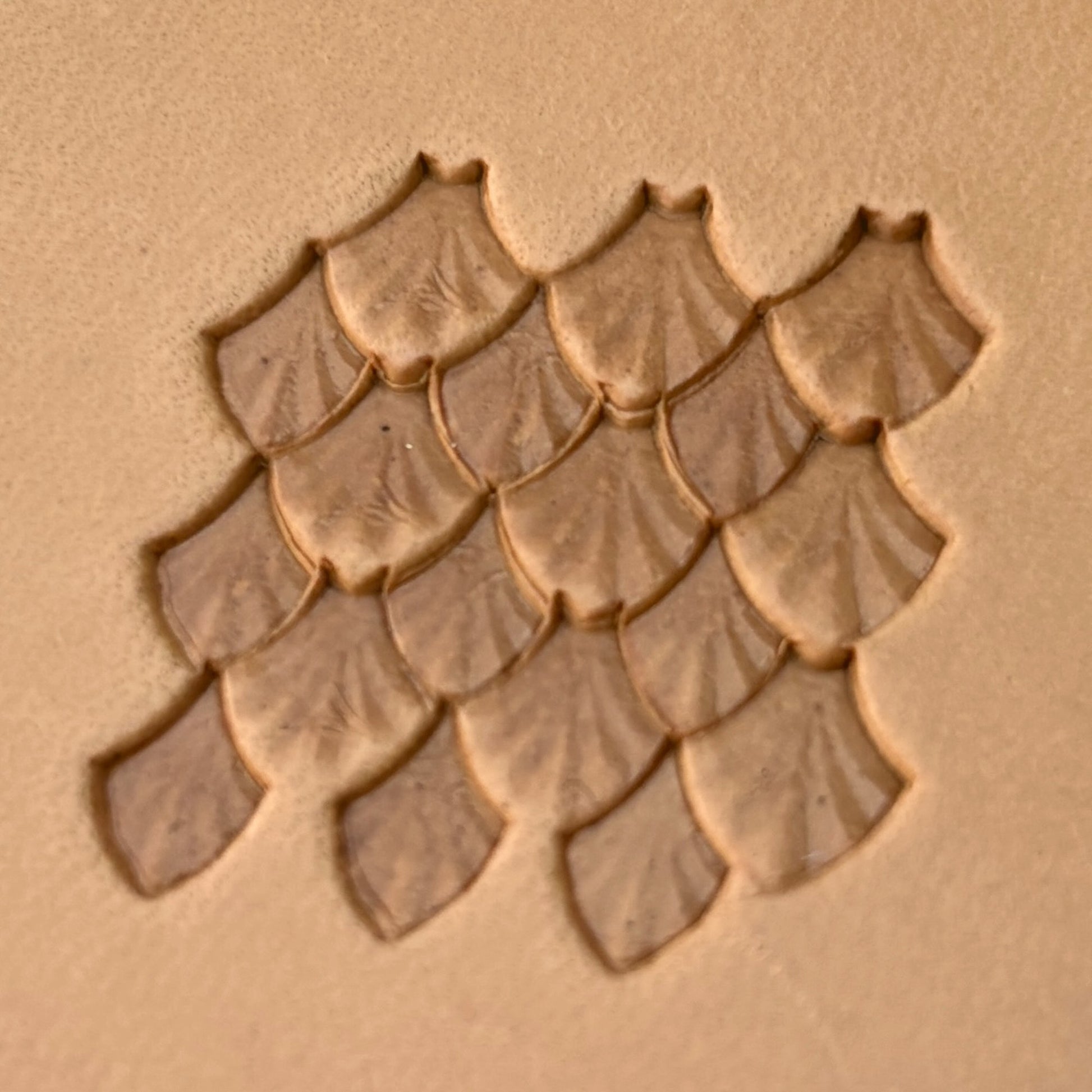 Fan Scales leather stamp LT411 — pattern imprint on veg-tan leather