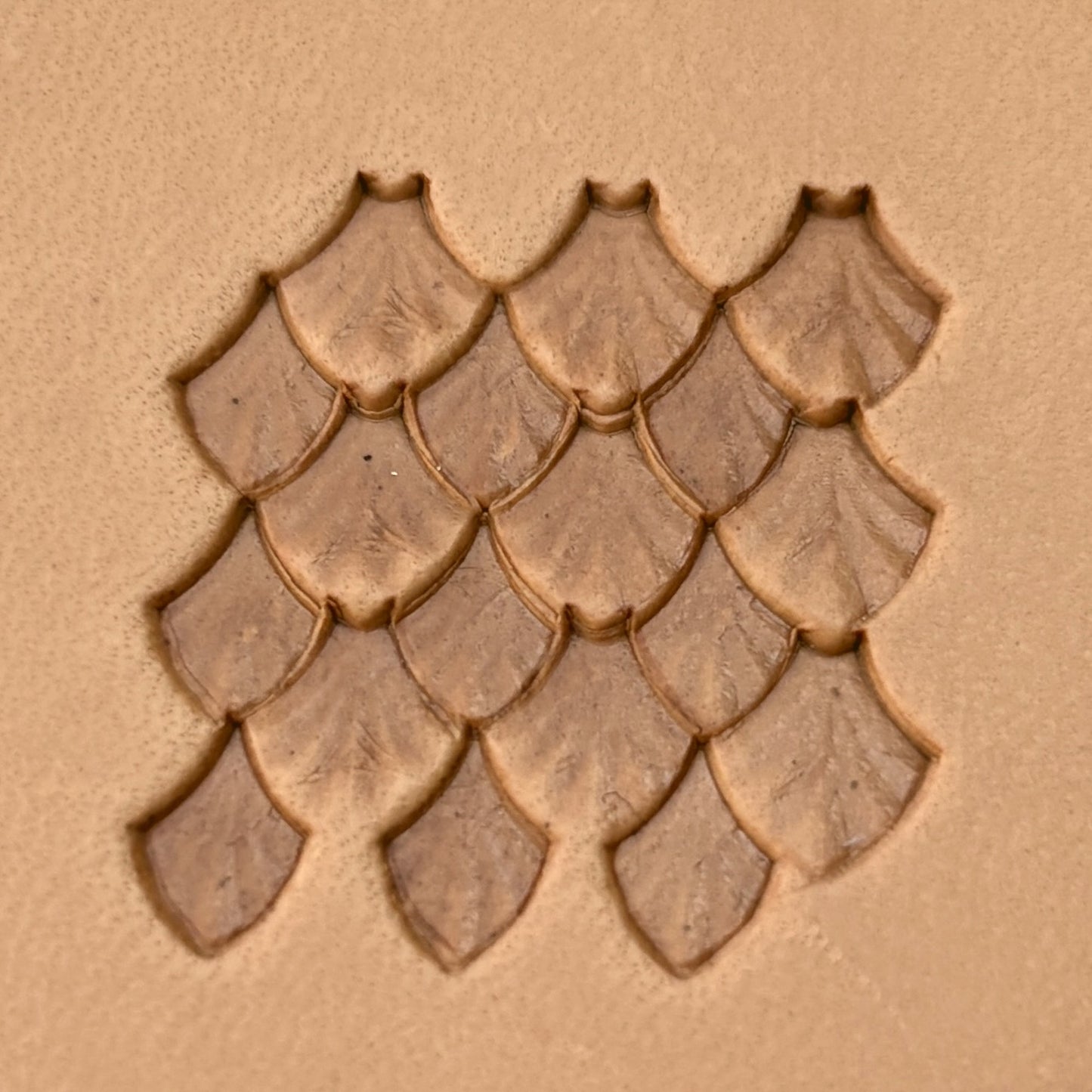 Fan Scales leather stamp LT411 — pattern imprint on veg-tan leather