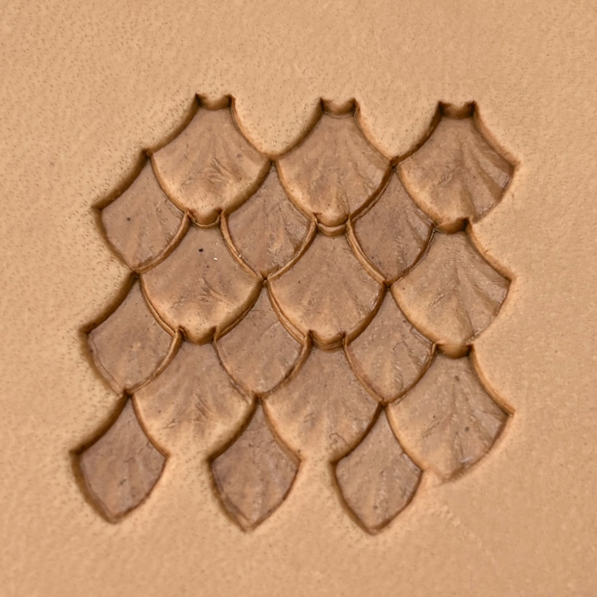 Fan Scales leather stamp LT411 — pattern imprint on veg-tan leather
