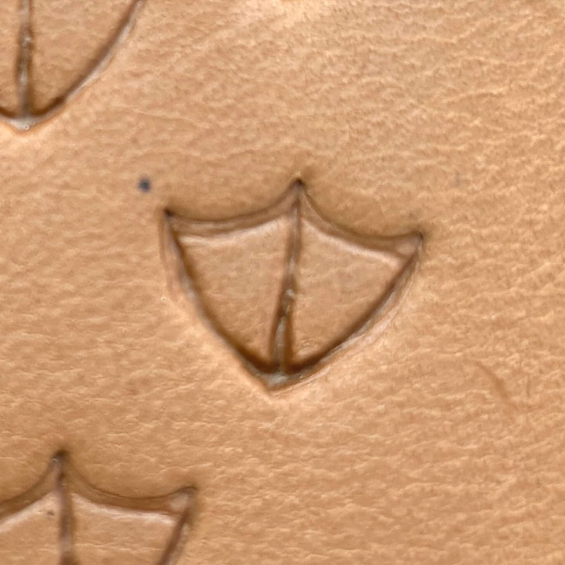 Bird Tracks Footprint leather stamp LT414 — single impression on veg-tan leather