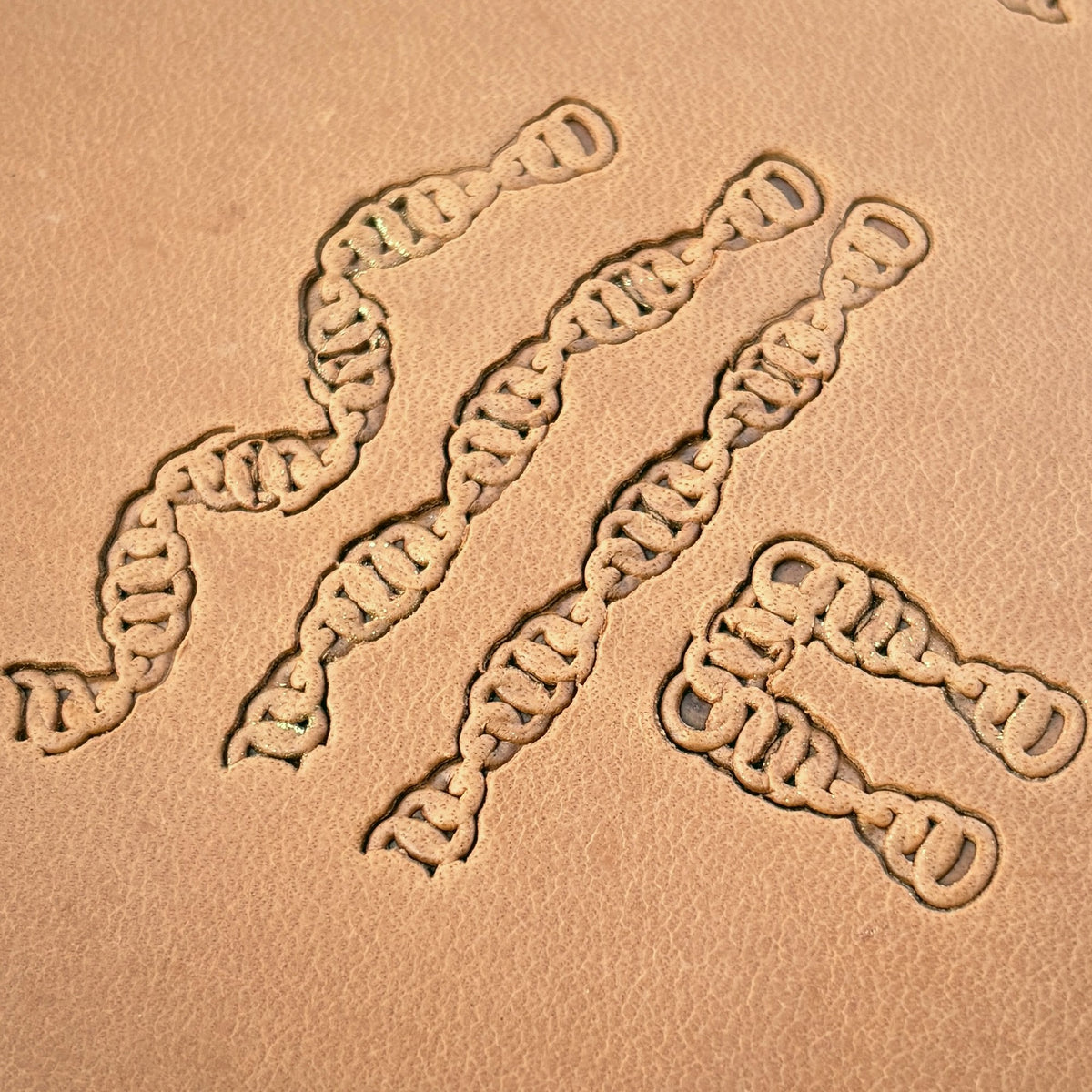 Double Link Chain leather stamp set LT436, straight runs, corners and ends combined into a border on leather