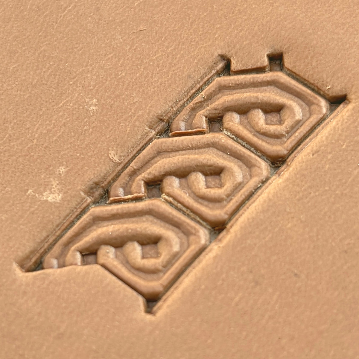 Knot Border Geometric leather stamp LT511 — pattern imprint on veg-tan leather