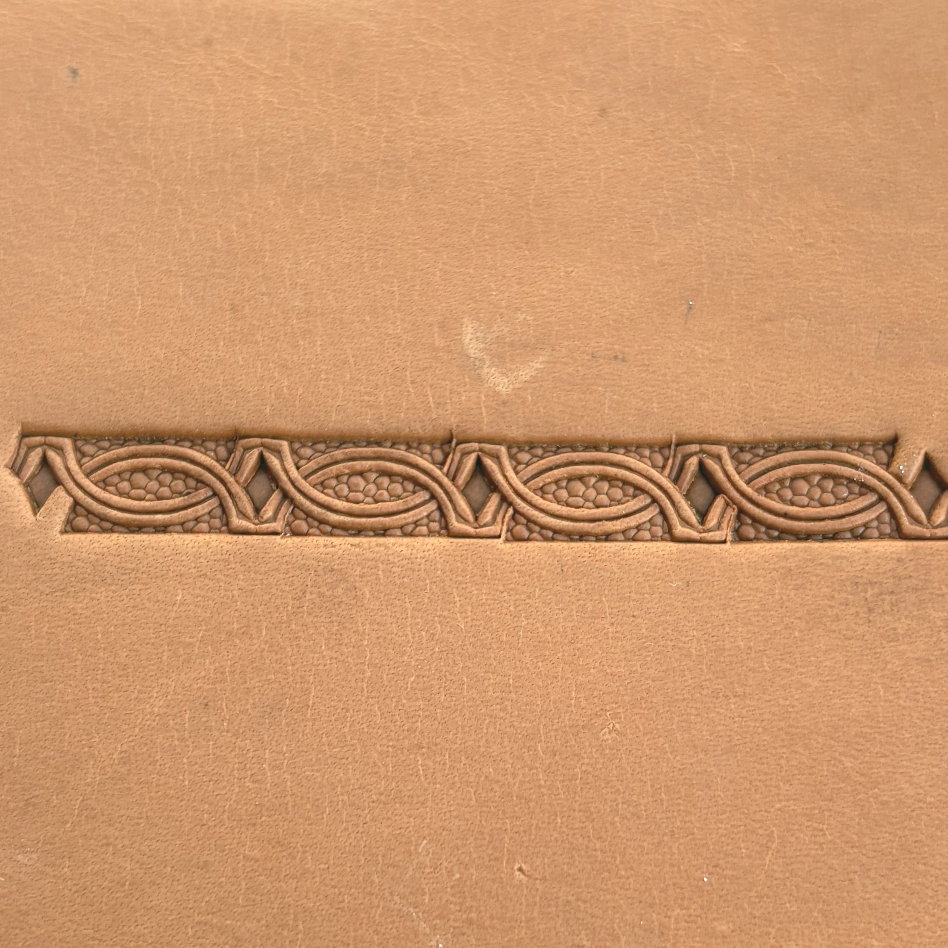 Interlinked Ovals Border Geometric leather stamp LT521 — pattern imprint on veg-tan leather