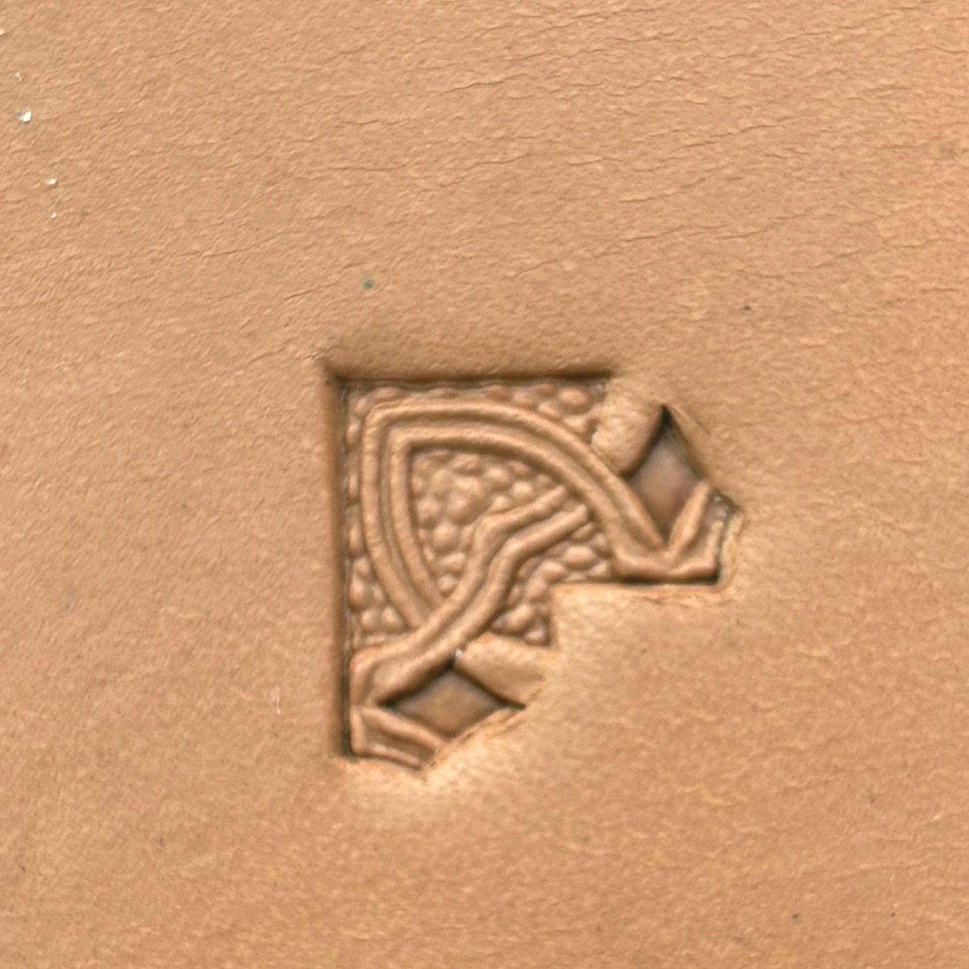 Interlinked Ovals Border Geometric leather stamp LT521 — single impression on veg-tan leather