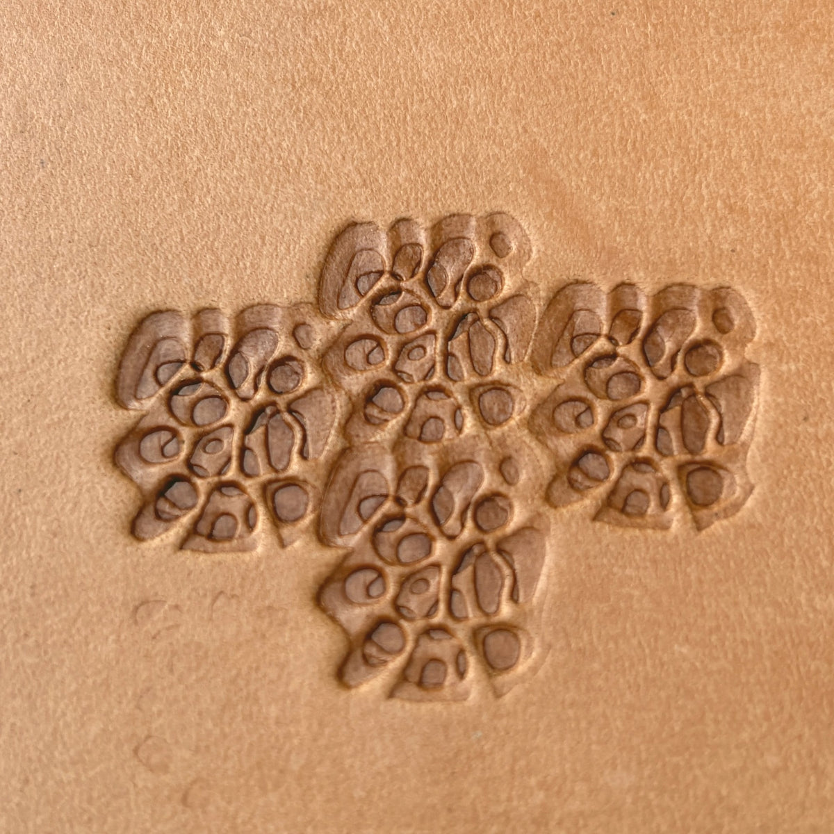 Floral Cluster leather stamp LT537 — pattern imprint on veg-tan leather