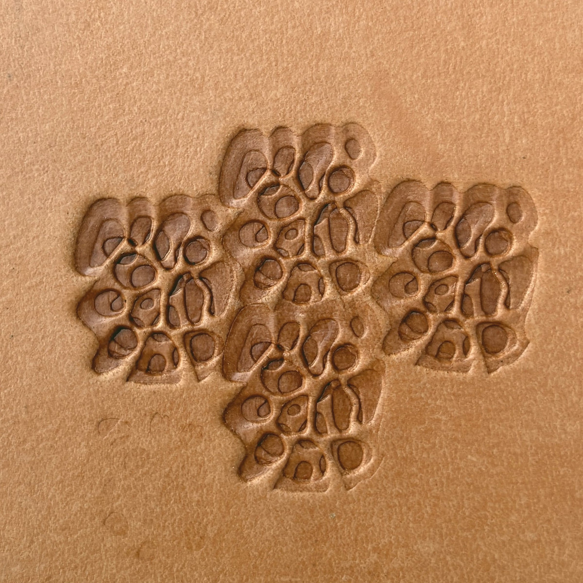 Floral Cluster leather stamp LT537 — pattern imprint on veg-tan leather