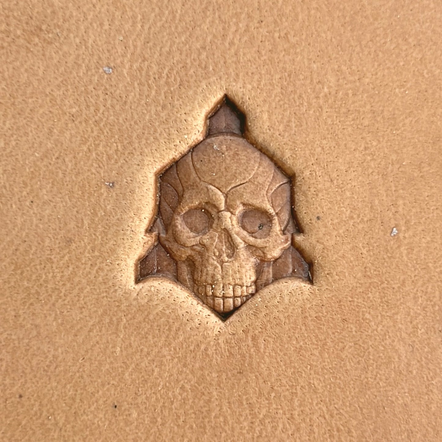 Old Cluster Skull leather stamp LT556 — single impression on veg-tan leather
