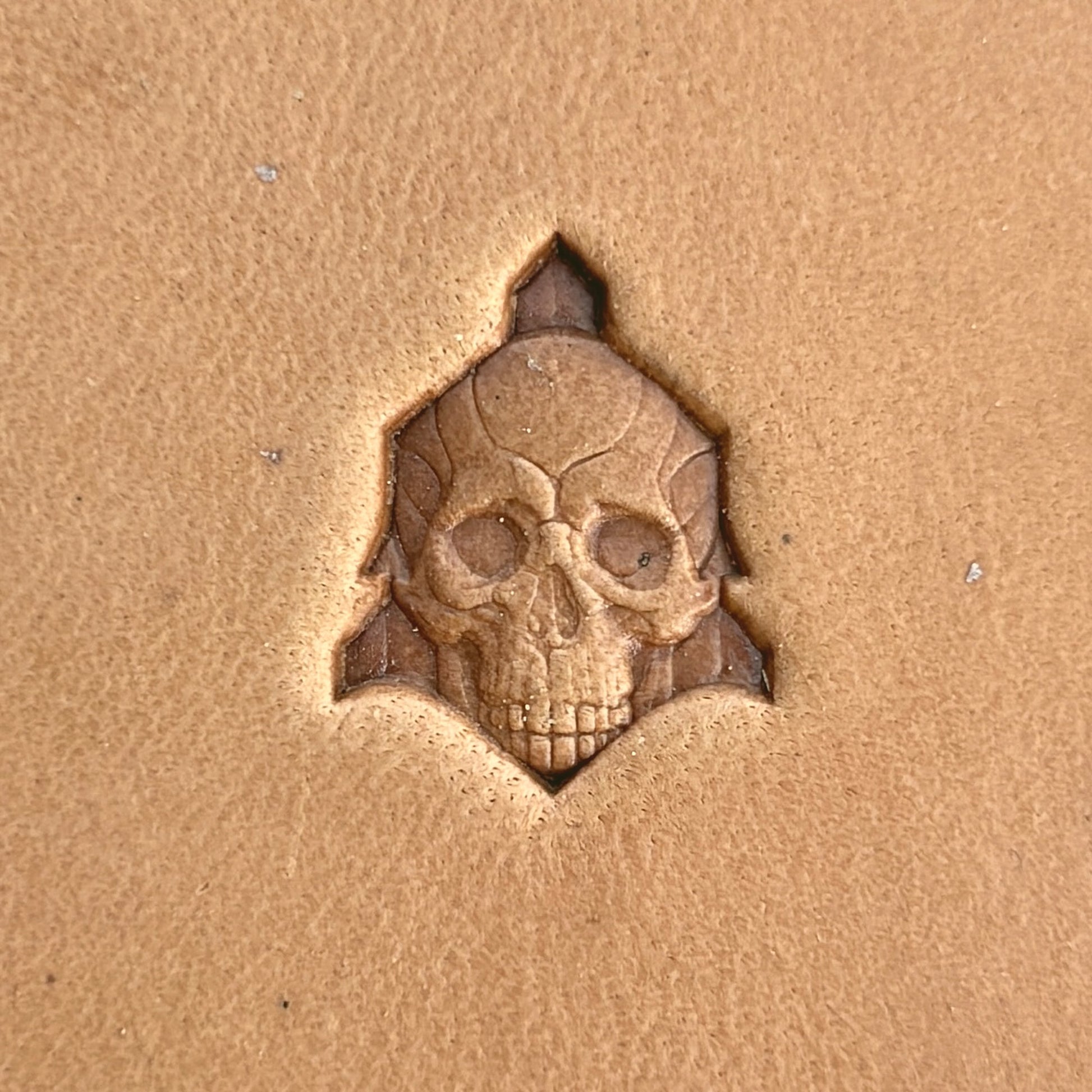 Old Cluster Skull leather stamp LT556 — single impression on veg-tan leather