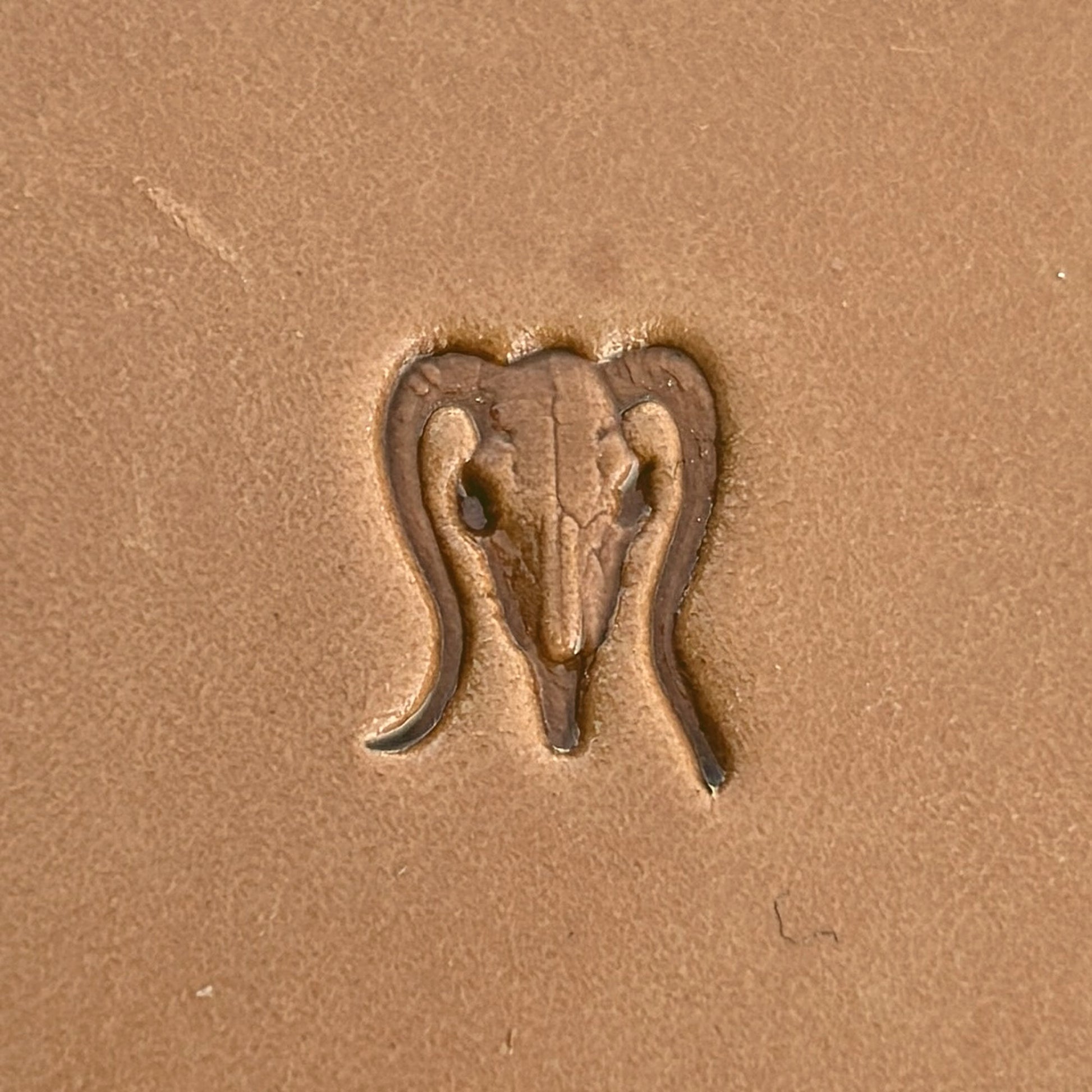 Goat Skull leather stamp LT558 — pattern imprint on veg-tan leather