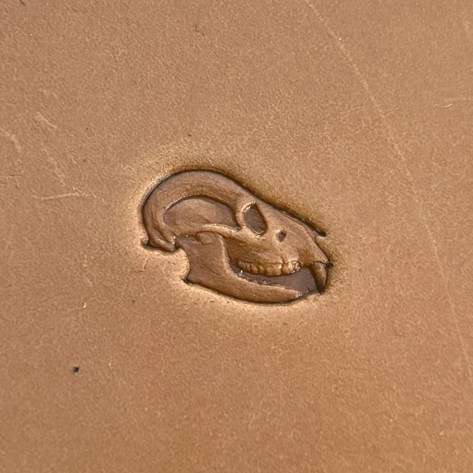Rodent Skull leather stamp LT559 — pattern imprint on veg-tan leather