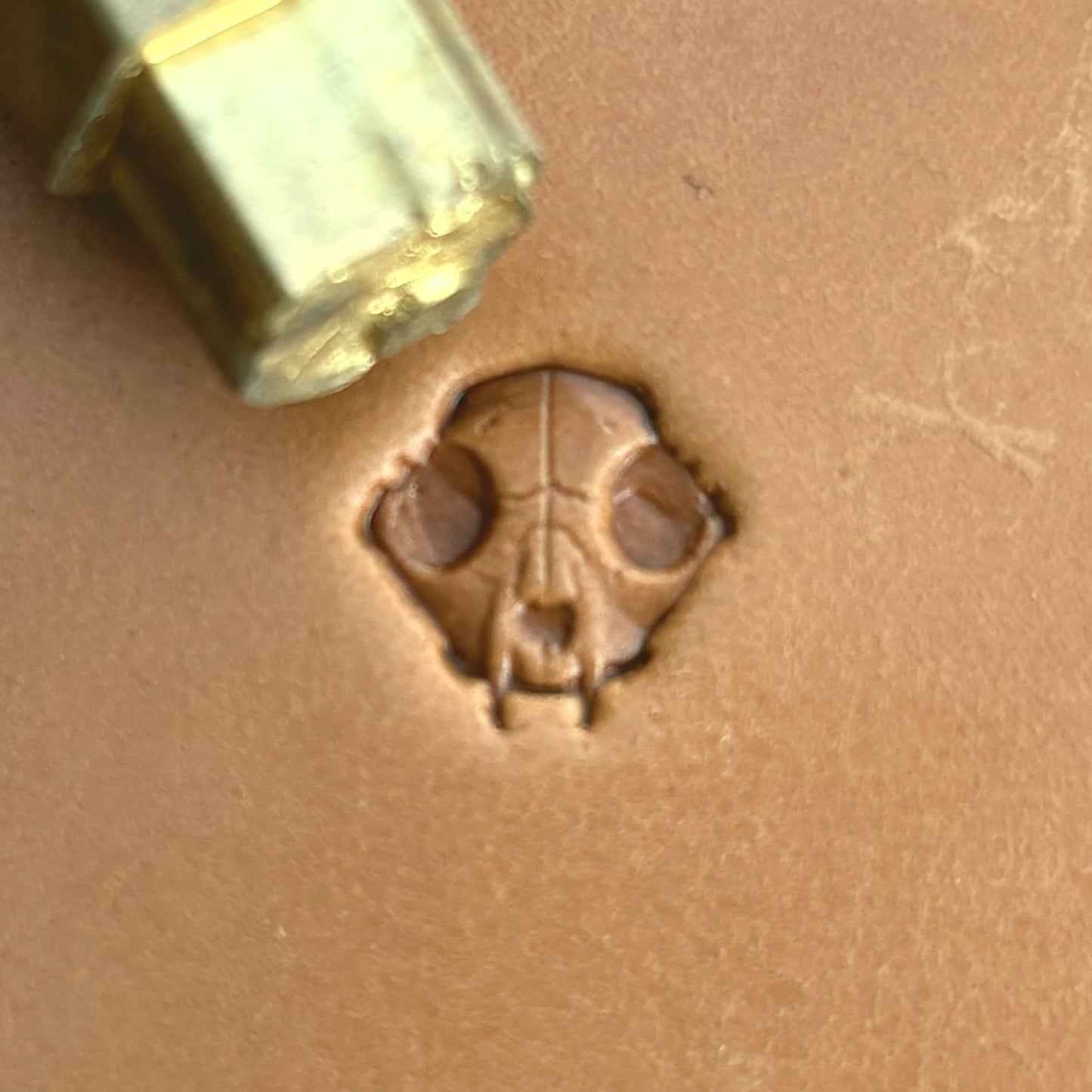 Skull Animal leather stamp LT560 — brass stamping tool with imprint on natural veg-tan leather