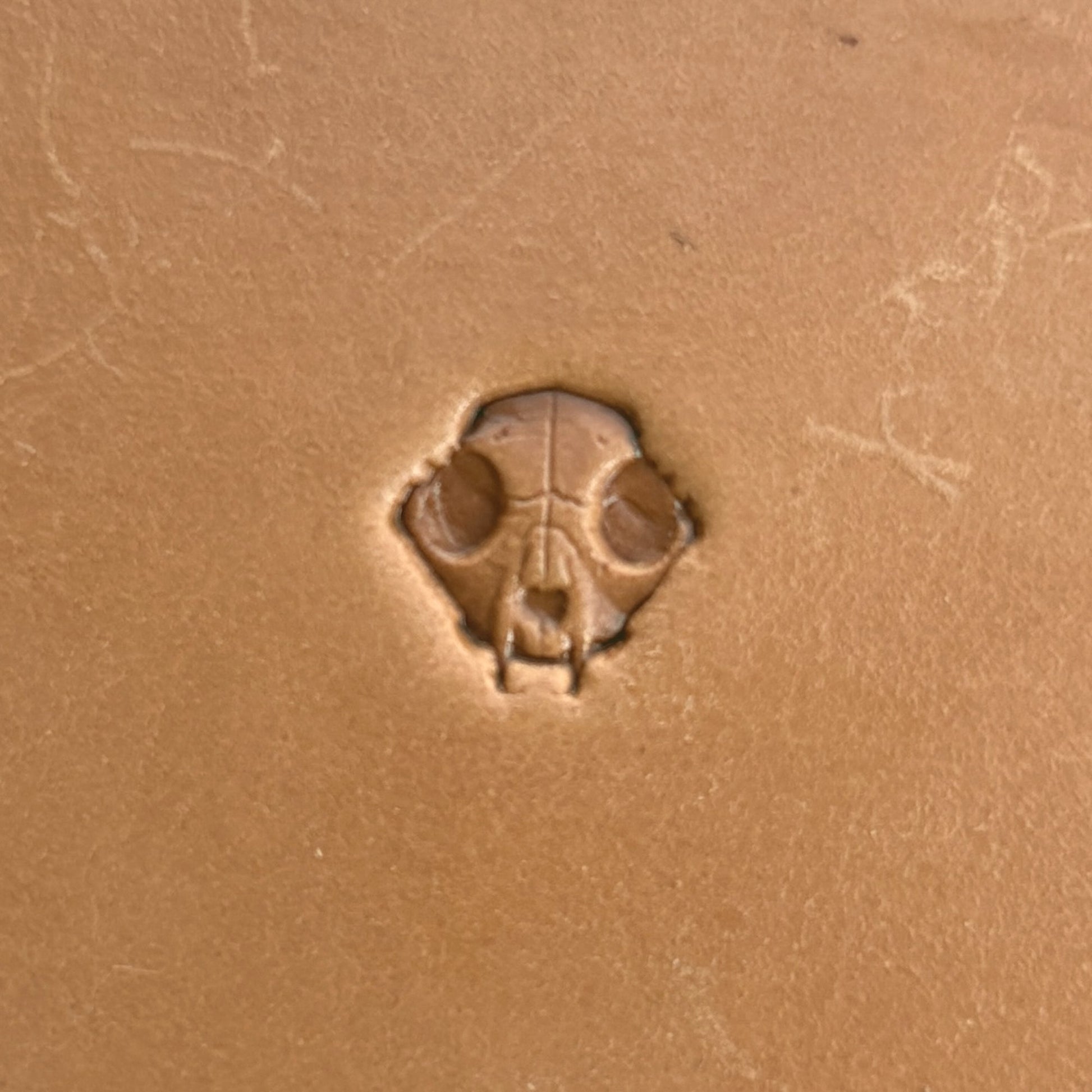 Skull Animal leather stamp LT560 — pattern imprint on veg-tan leather
