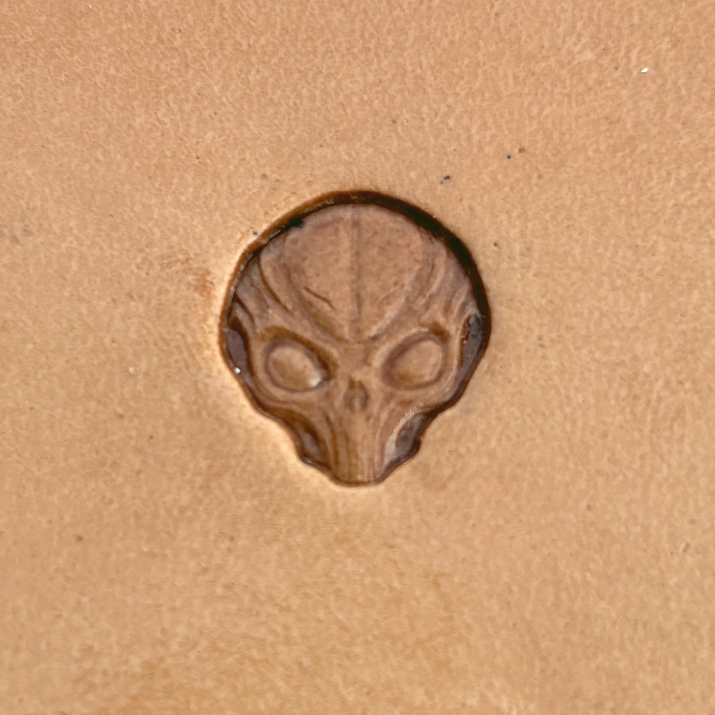 Alien Head Skull leather stamp LT571 — single impression on veg-tan leather