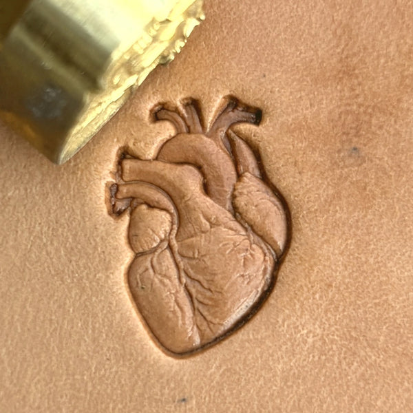 Anatomical Heart leather stamp LT577 — brass stamping tool with imprint on natural veg-tan leather