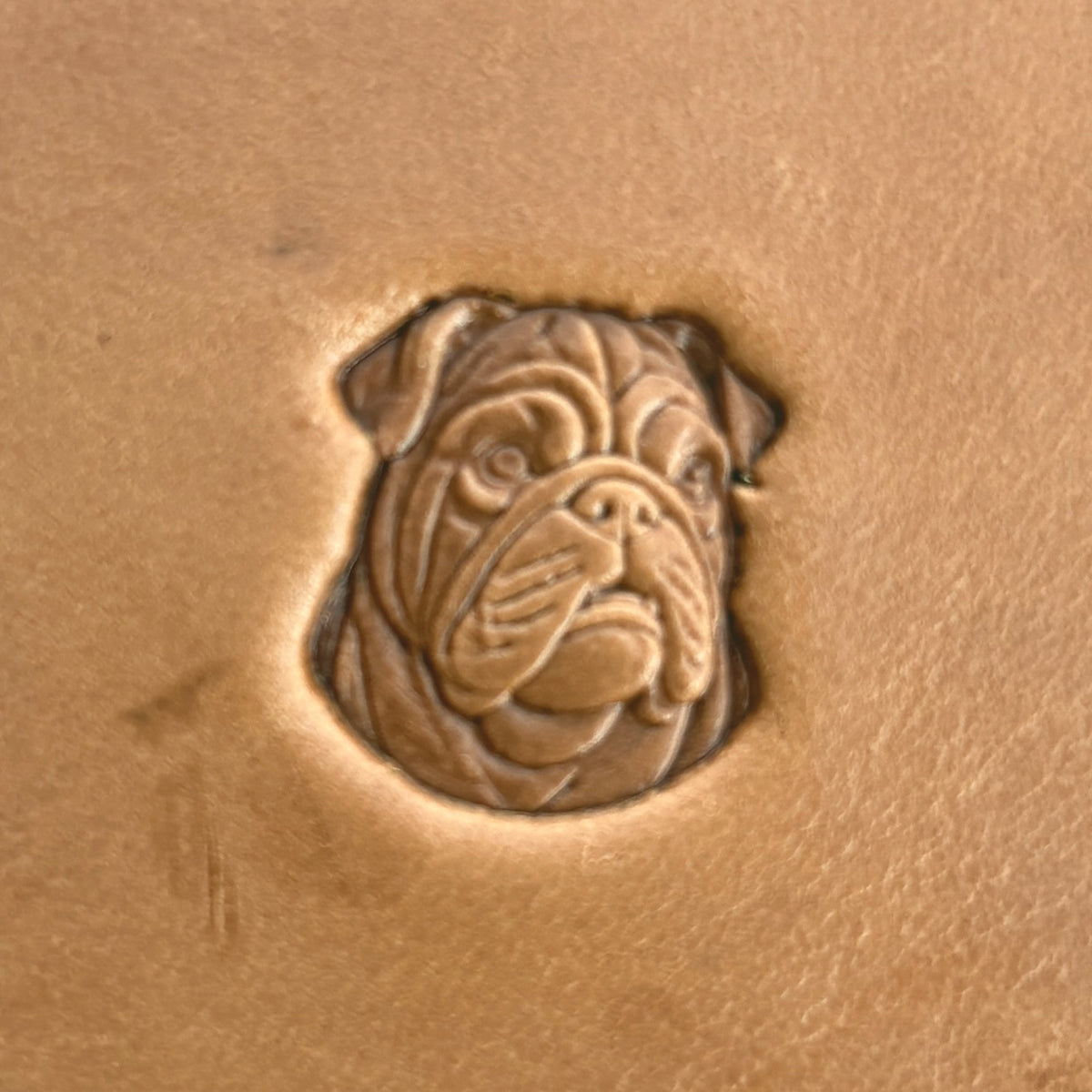 Bulldog Face leather stamp LT579 — single impression on veg-tan leather