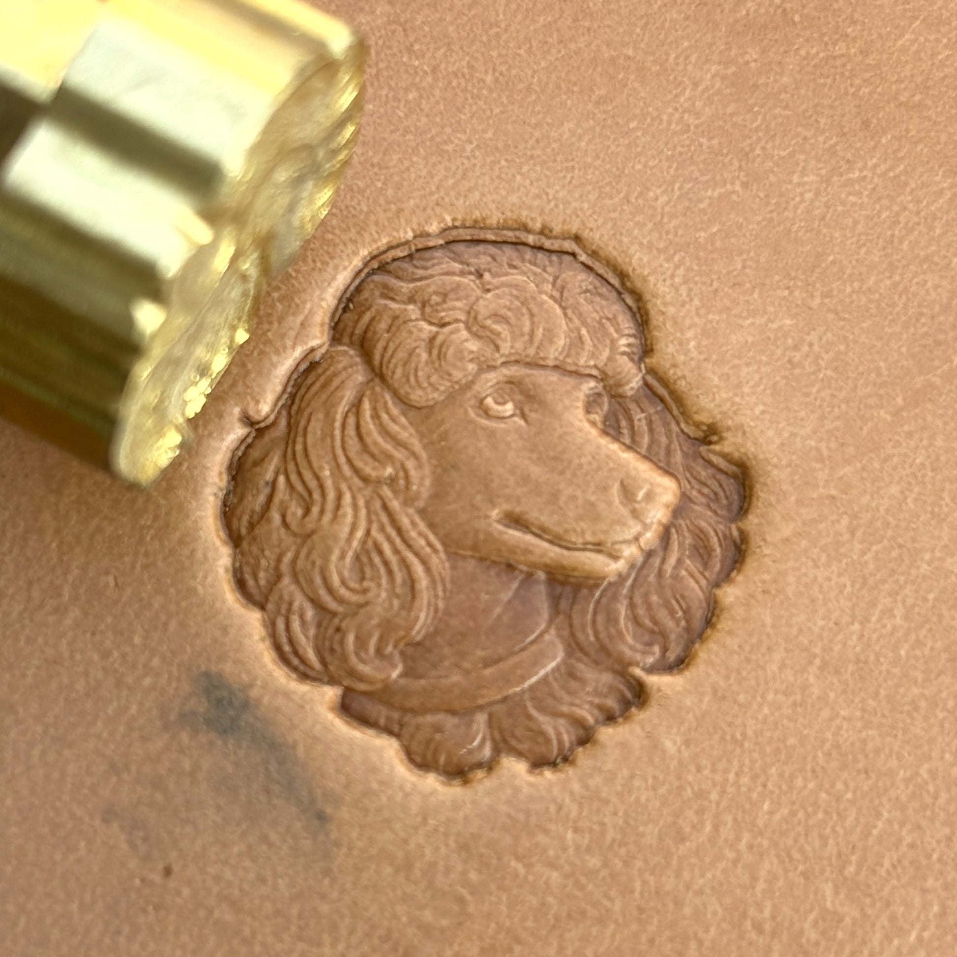 Poodle Head Dog leather stamp LT580 — brass stamping tool with imprint on natural veg-tan leather