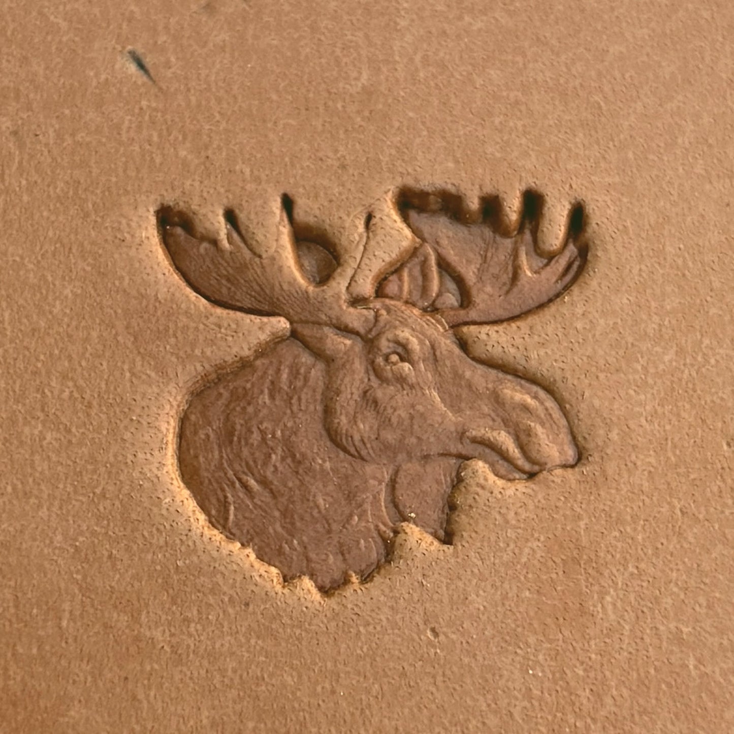 Moose Head Deer leather stamp LT582 — pattern imprint on veg-tan leather
