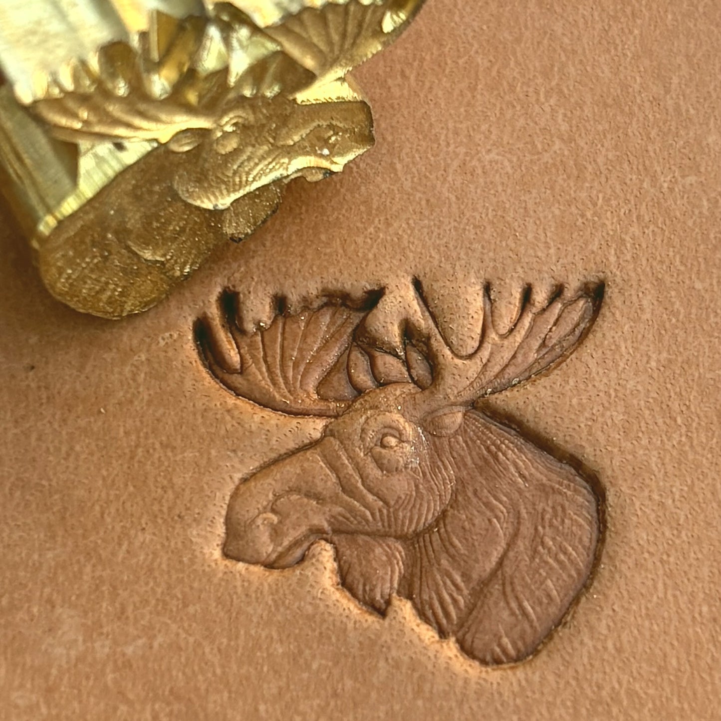 Noble Moose Deer leather stamp LT583 — brass stamping tool with imprint on natural veg-tan leather