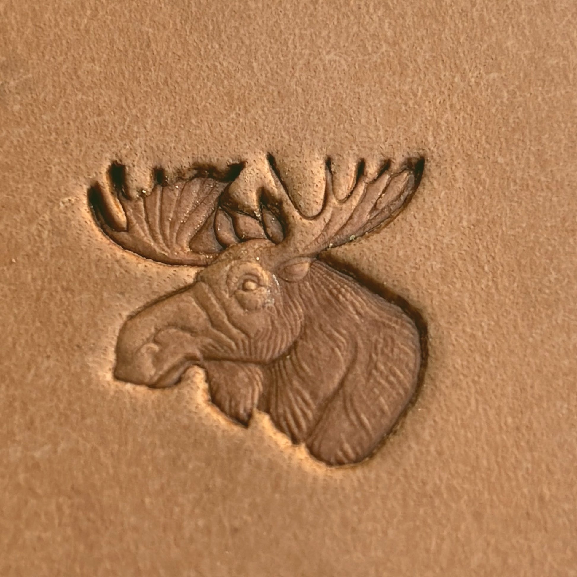 Noble Moose Deer leather stamp LT583 — pattern imprint on veg-tan leather